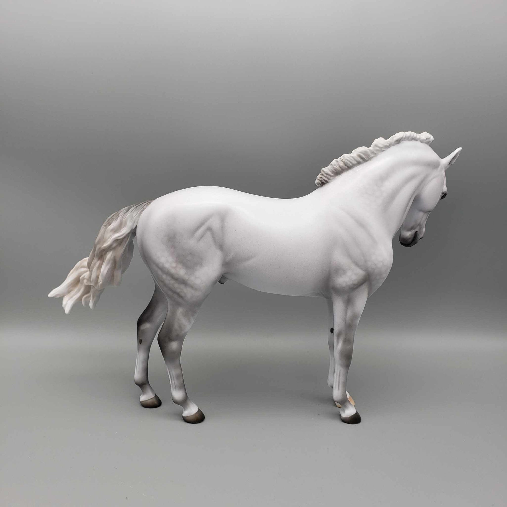 Credo LE 15 Run Dappled Grey Andalusian By Ellen Robbins Holiday Sale HS23