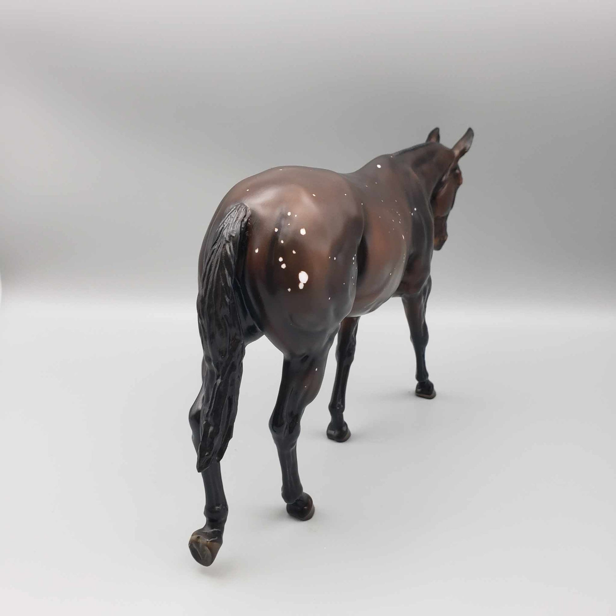 Tailsman OOAK Dark Bay W/Birdcatcher Spots And Etched Marking Mule By Ashley Palmer Moonlight Madness 2023 MM23