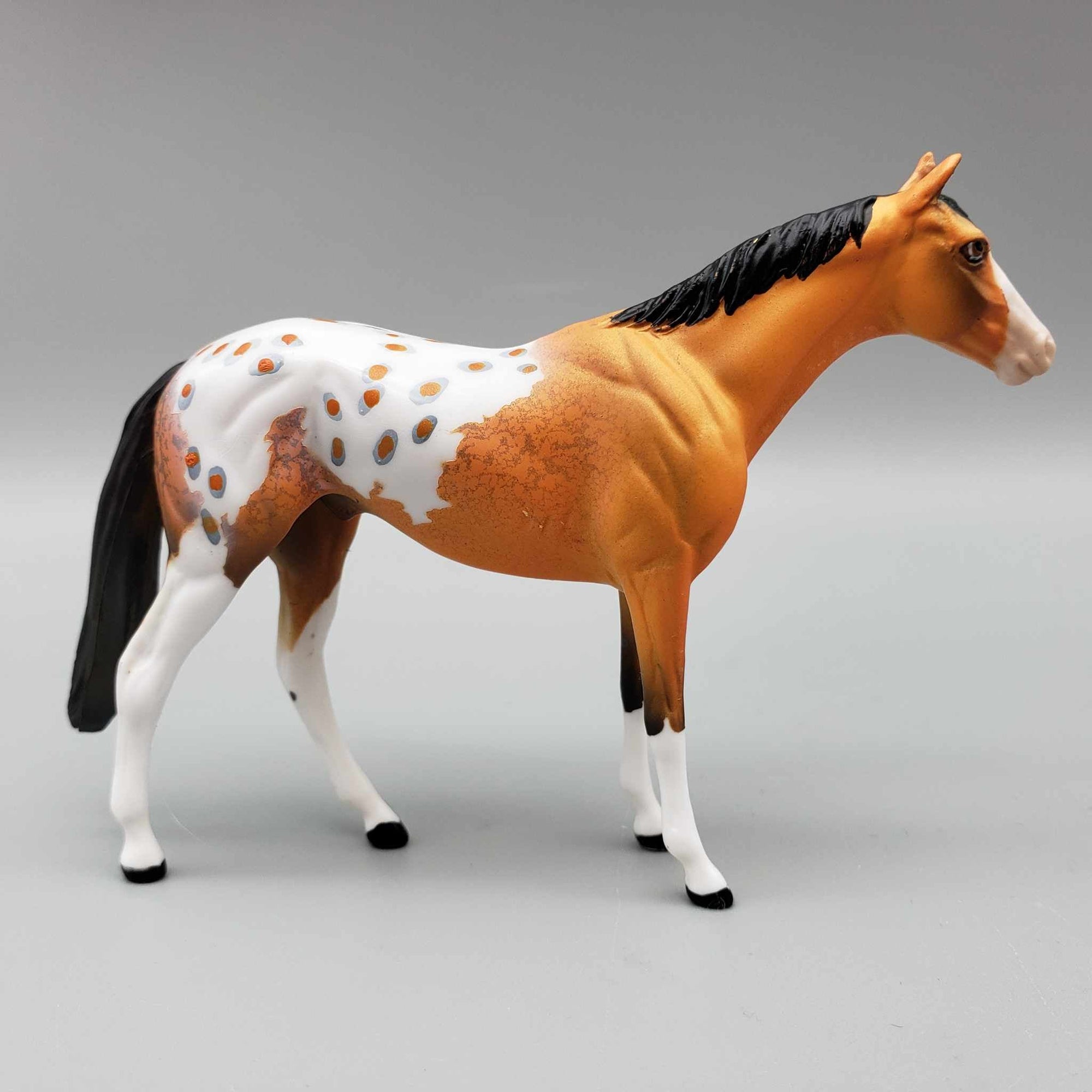 Osvaldo OOAK Orange Buckskin W/Large Blaze Blanket Appaloosa W/Spots and Snip Thoroughbred Chip By Dawn Quick Moonlight Madness 2023 MM23