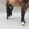 Cyclone OOAK Buckskin ISH By Sheryl Leisure Best Offers 10/23/23