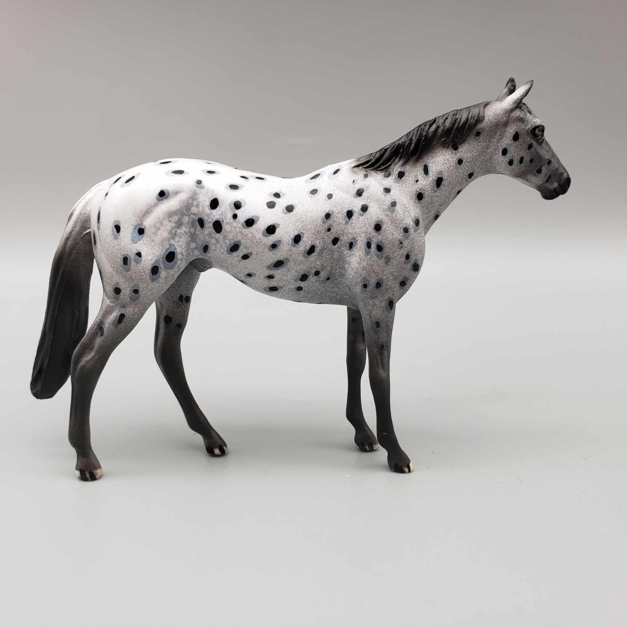 Dante OOAK Black Leopard Appaloosa Thoroughbred Chip By Dawn Quick Moonlight Madness 2023 MM23