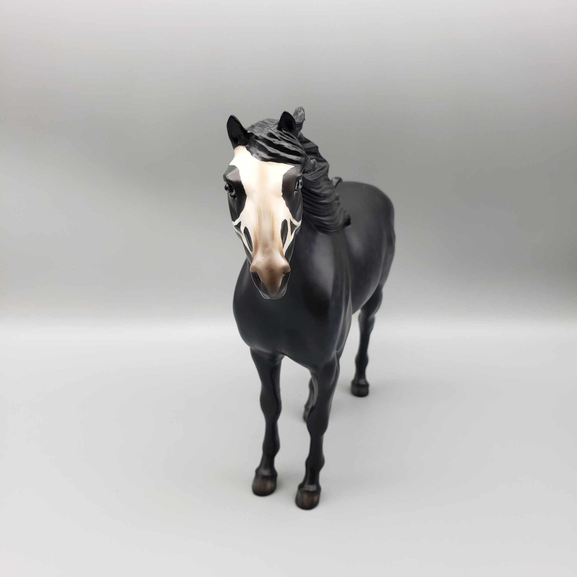 Guilt By Association OOAK Halloween Deco Dappled Raven Black w/Common Raven Skull By Ellen Robins Moonlight Madness 2023 MM23