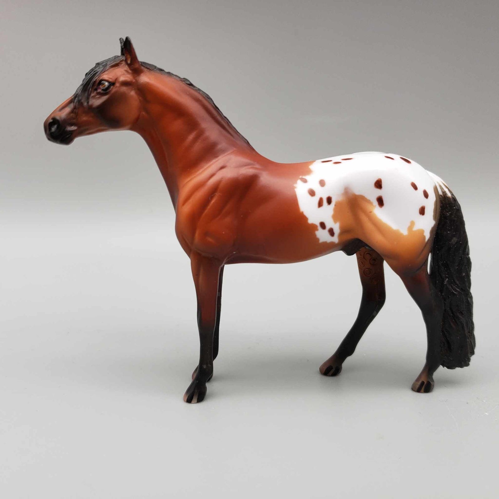 Braylon OOAK Bay Blanket Appaloosa W/Spots Andalusian Chip By Dawn Quick Moonlight Madness 2023 MM23