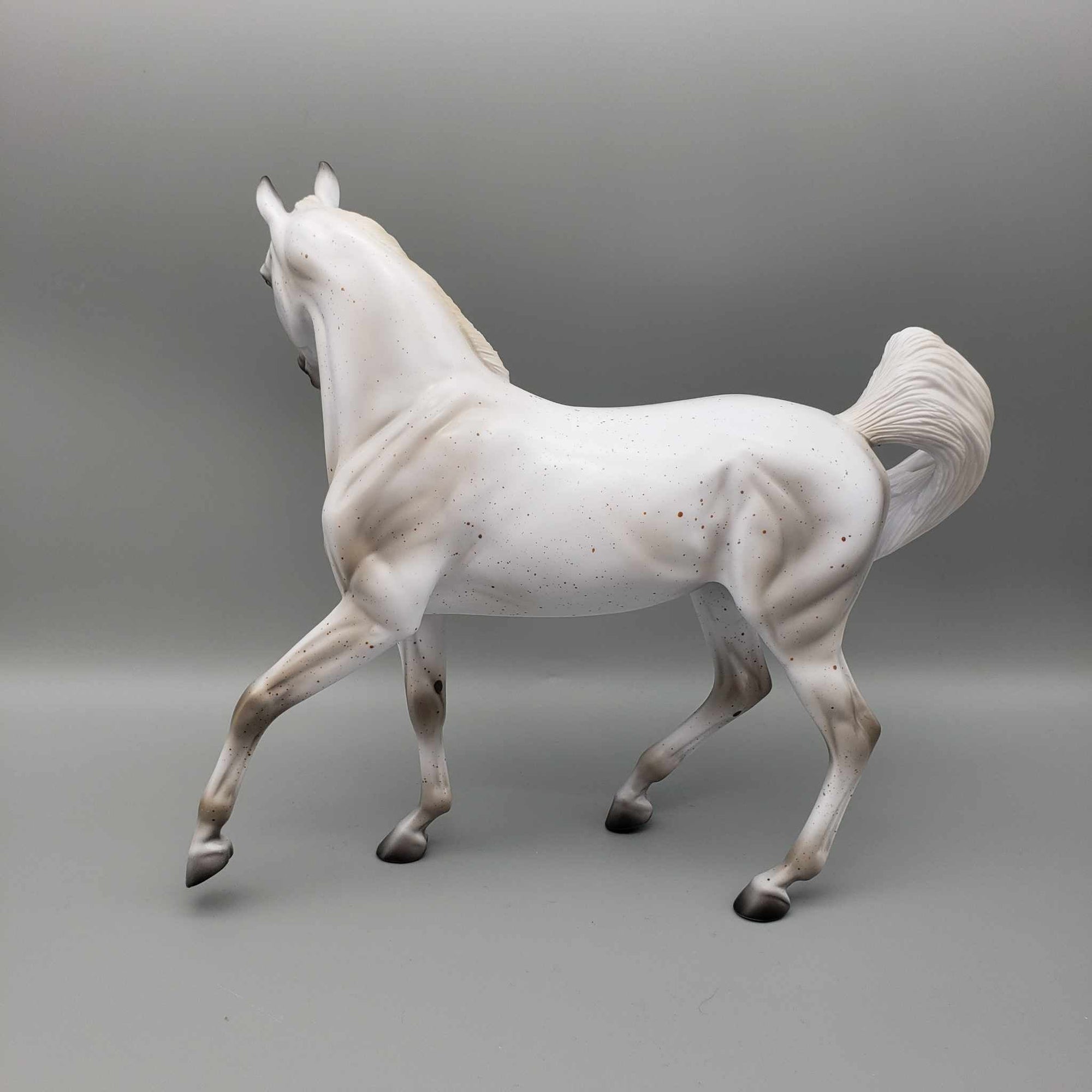 Moon Glow OOAK Flea Bit Gray Arab MareBy Ashley Palmer Moonlight Madness 2023 MM23