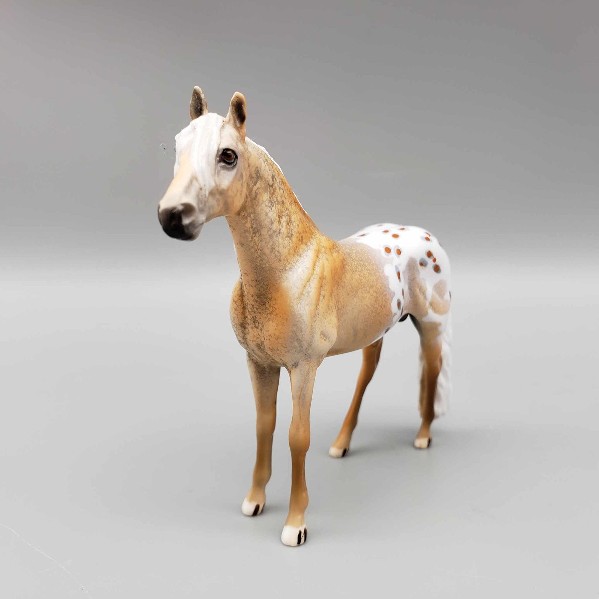 Maynard OOAK Palomino Blanket Appaloosa W/Spots Andalusian Chip By Dawn Quick Moonlight Madness 2023 MM23