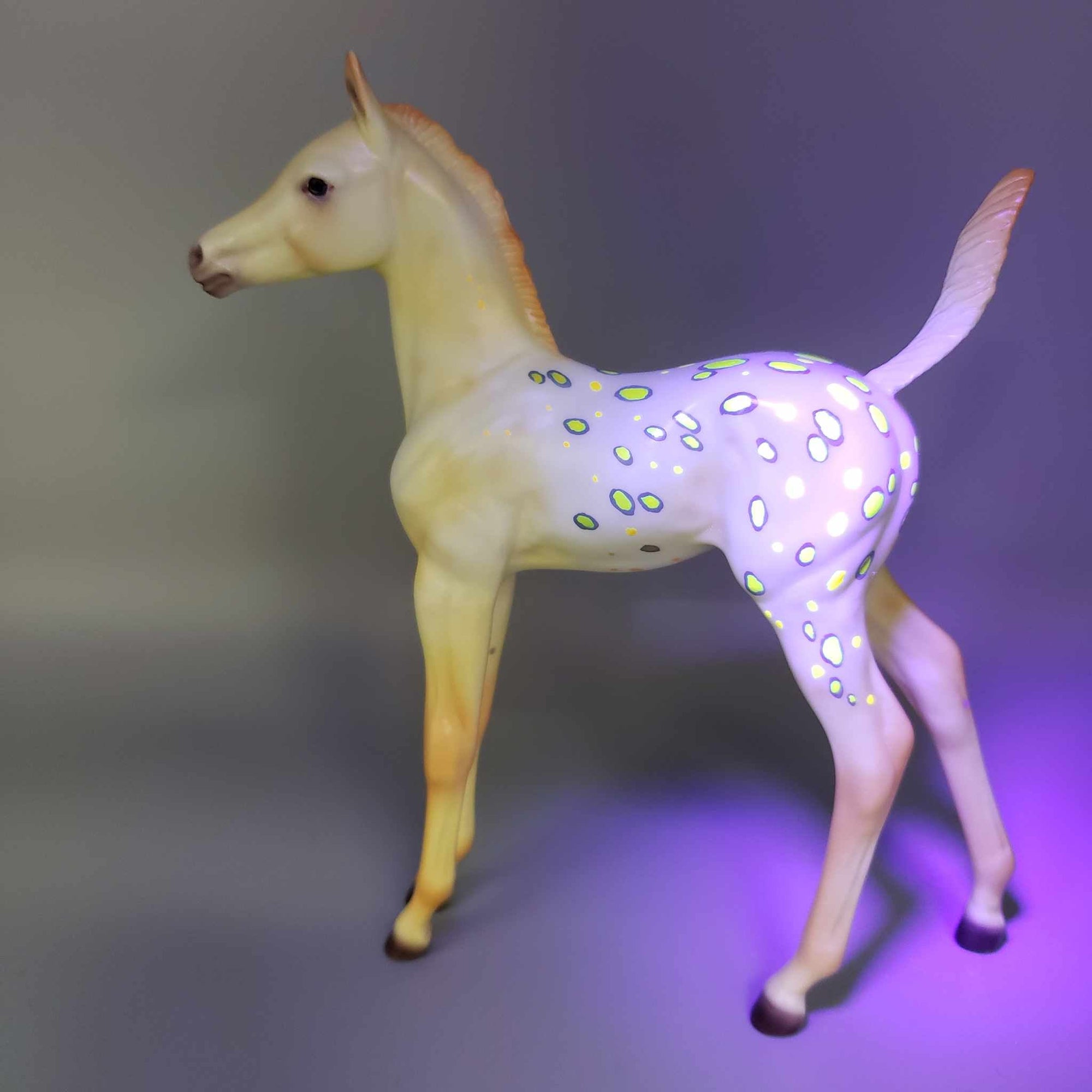 Pumpkin Seed OOAK Halloween Deco Yellow / Orange Blanket Appaloosa W/ Blacklight Arabian Foal Pebble By Ellen Robbins Moonlight Madness 2023 MM23