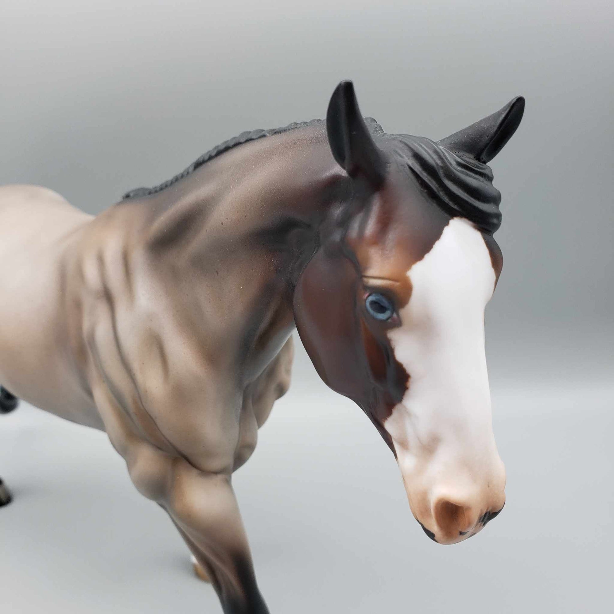 Seemingly OOAK Bay Roan Remington By Angela Marleau Moonlight Madness 2023 MM23