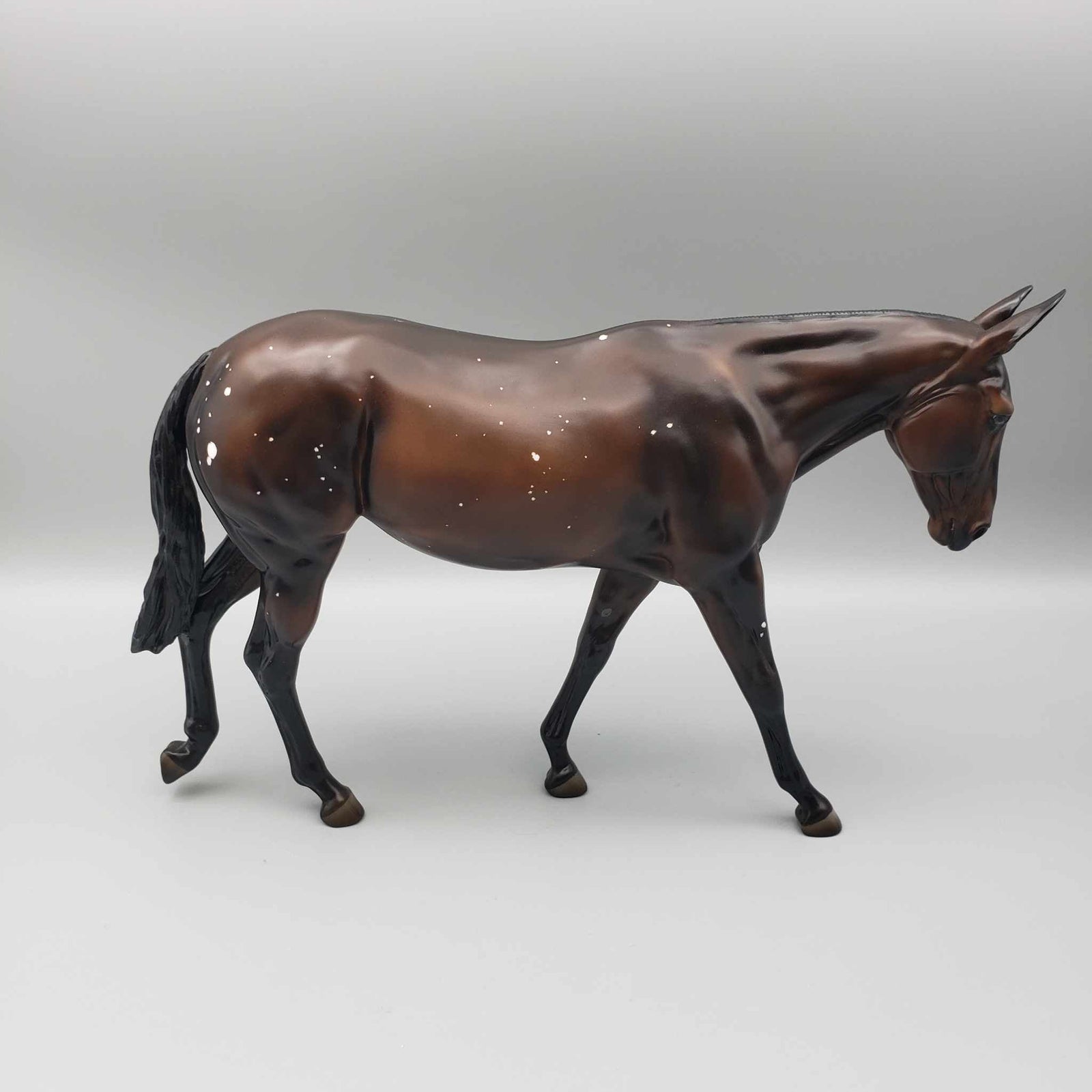 Tailsman OOAK Dark Bay W/Birdcatcher Spots And Etched Marking Mule By Ashley Palmer Moonlight Madness 2023 MM23