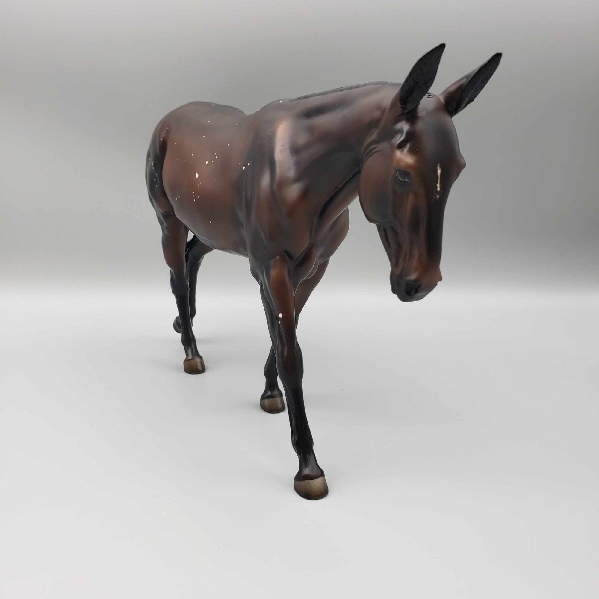 Tailsman OOAK Dark Bay W/Birdcatcher Spots And Etched Marking Mule By Ashley Palmer Moonlight Madness 2023 MM23