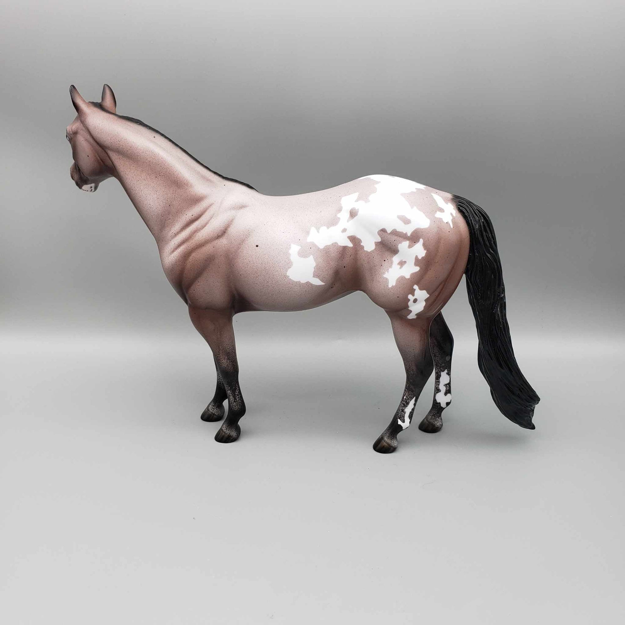 S&#39;mores by Starlight OOAK  Varnish Appoloosa Bay Roan  ISH By Ellen Robbins Moonlight Madness 2023 MM23