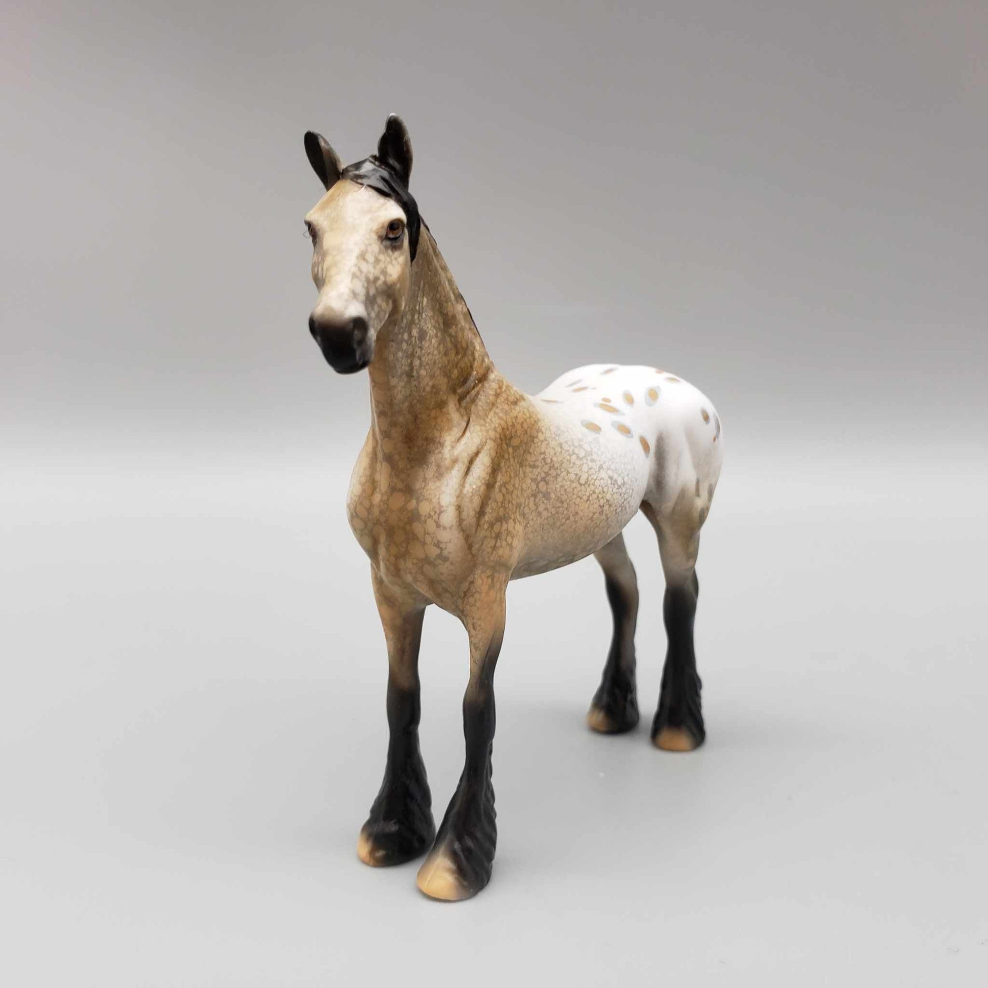 Sebastian OOAK Buckskin Blanket Appaloosa With Spots W/Purple Ribbon Draft Chip By Dawn Quick Moonlight Madness 2023 MM23