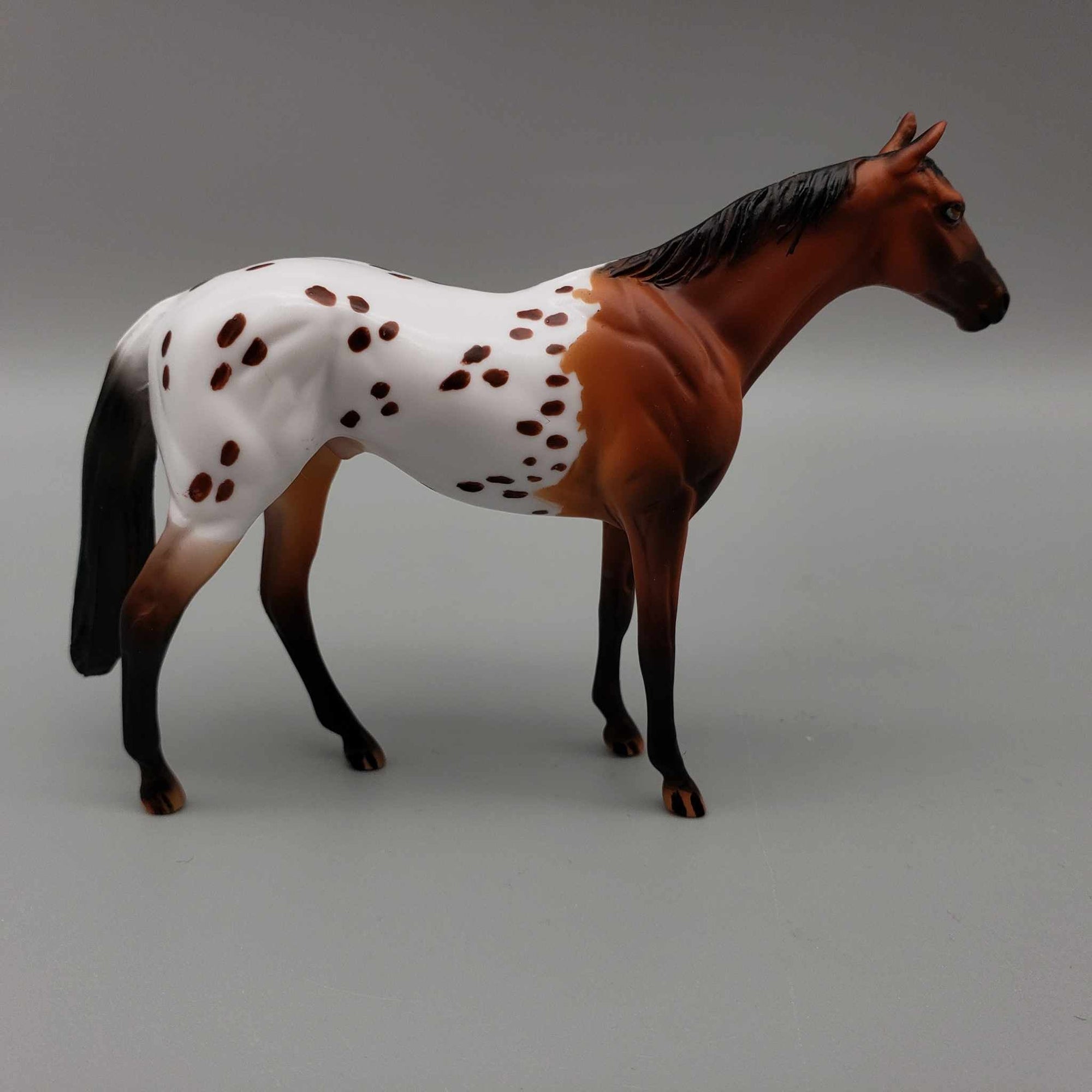 Reggie OOAK Bay Blanket Appaloosa Spots W/Blaze Thoroughbred Chip By Dawn Quick Moonlight Madness 2023 MM23