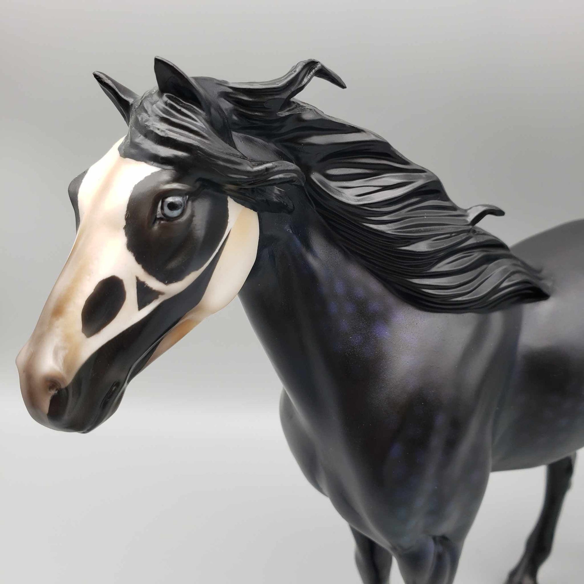 Guilt By Association OOAK Halloween Deco Dappled Raven Black w/Common Raven Skull By Ellen Robins Moonlight Madness 2023 MM23