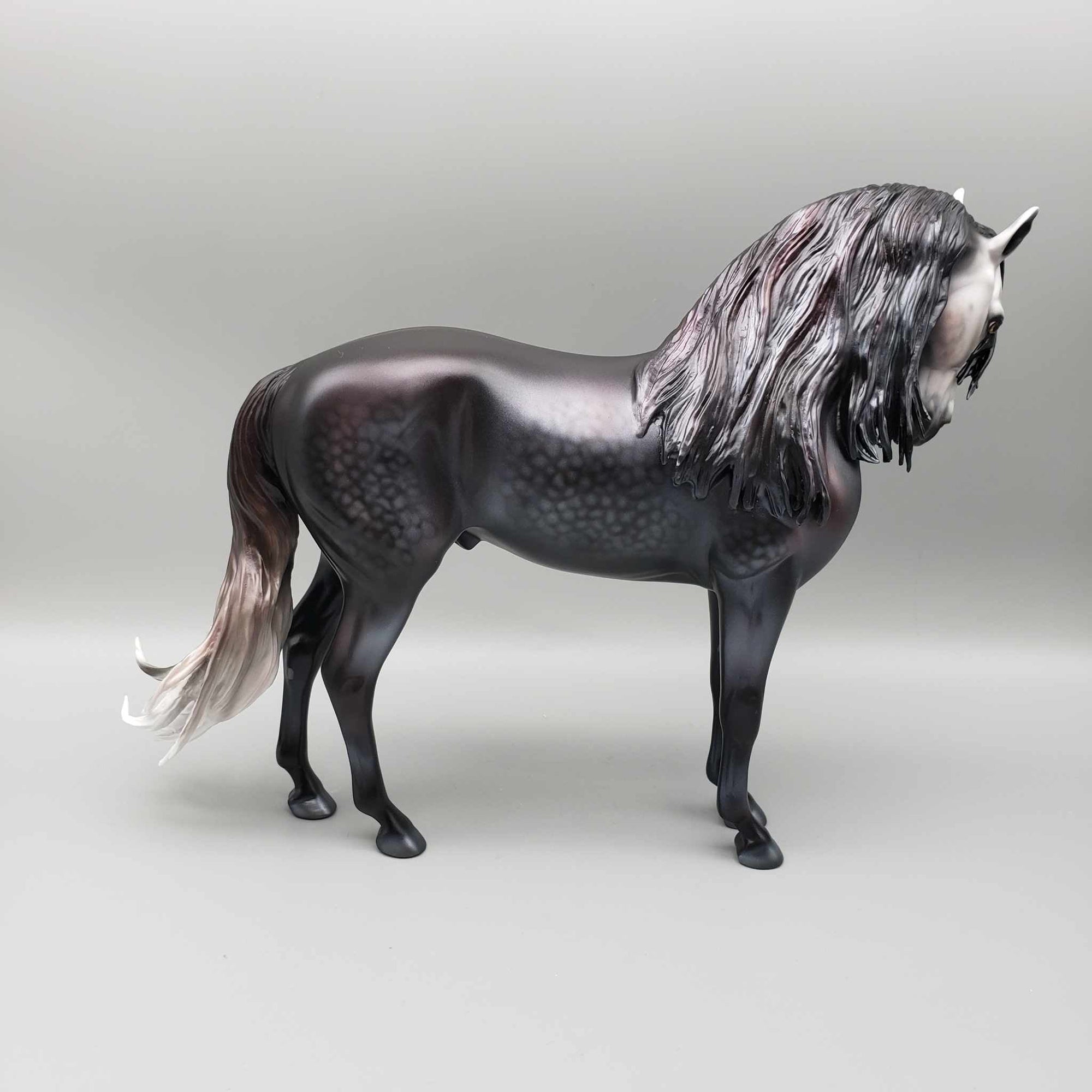 Luna del Cazardor OOAK Dappled Black Going Grey Andalusian By Carrie Keller BEST OFFER Moonlight Madness 2023 MM23