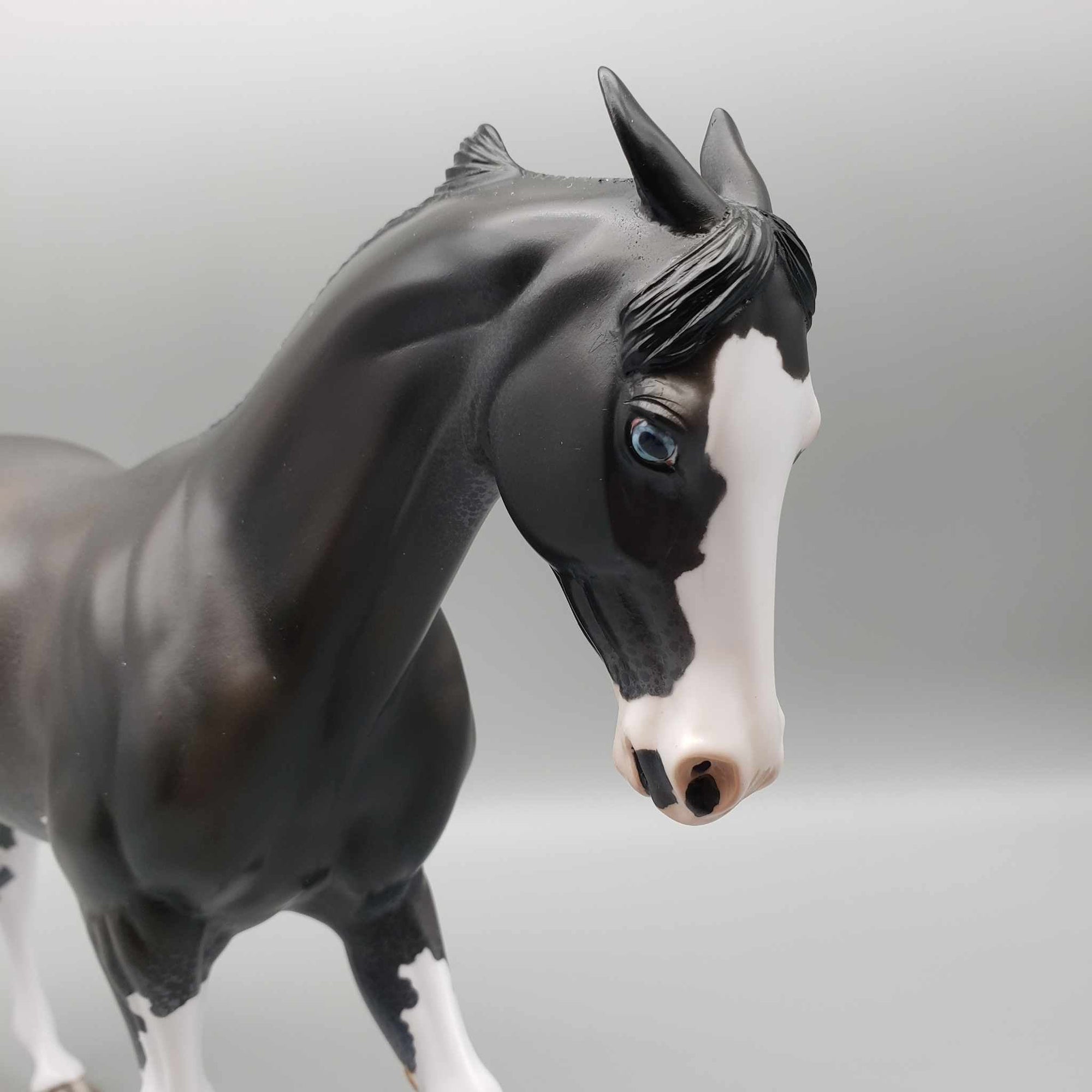 Karymsky OOAK Dark Bay Sabino Thoroughbred  By Jess Hamill Moonlight Madness 2023 MM23