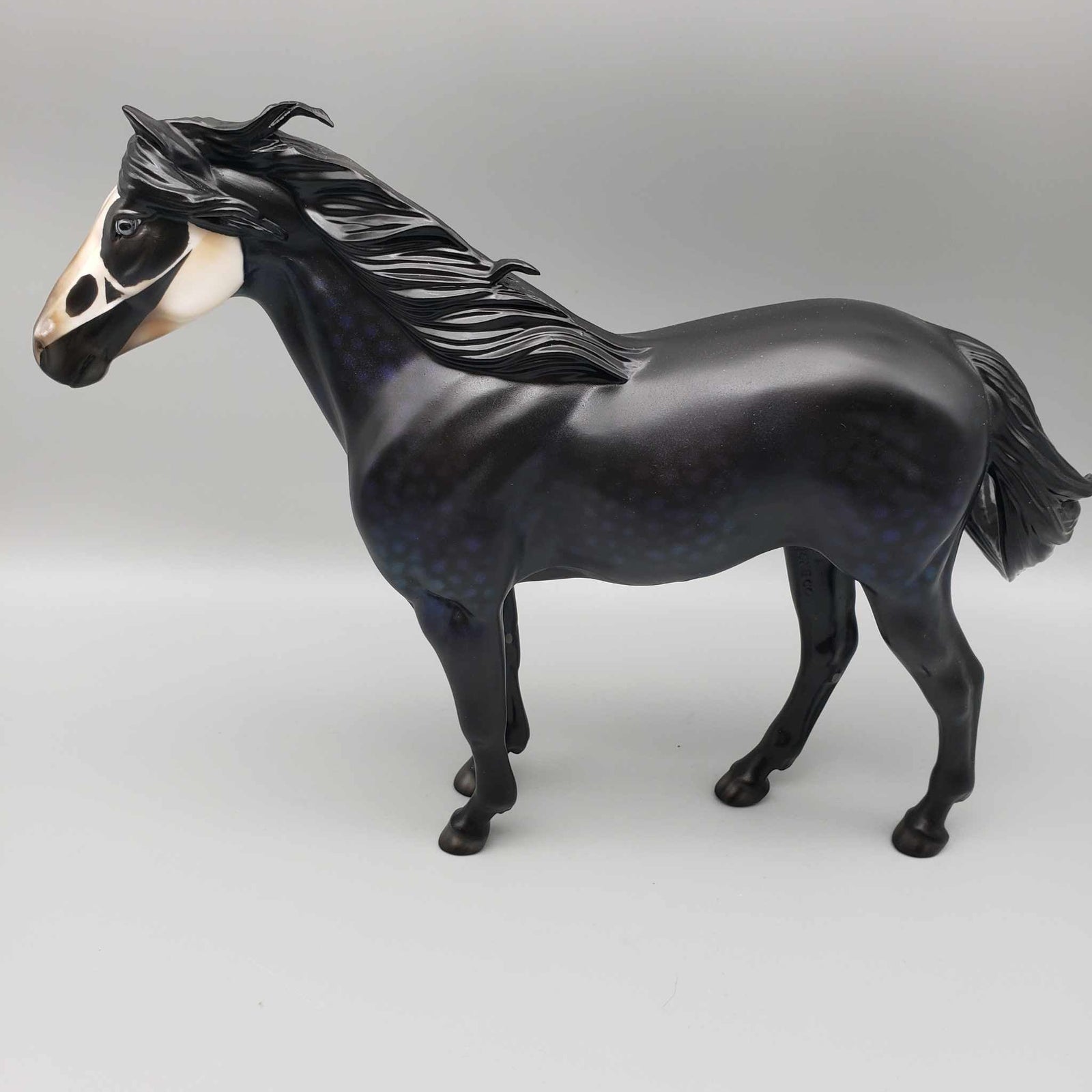 Guilt By Association OOAK Halloween Deco Dappled Raven Black w/Common Raven Skull By Ellen Robins Moonlight Madness 2023 MM23