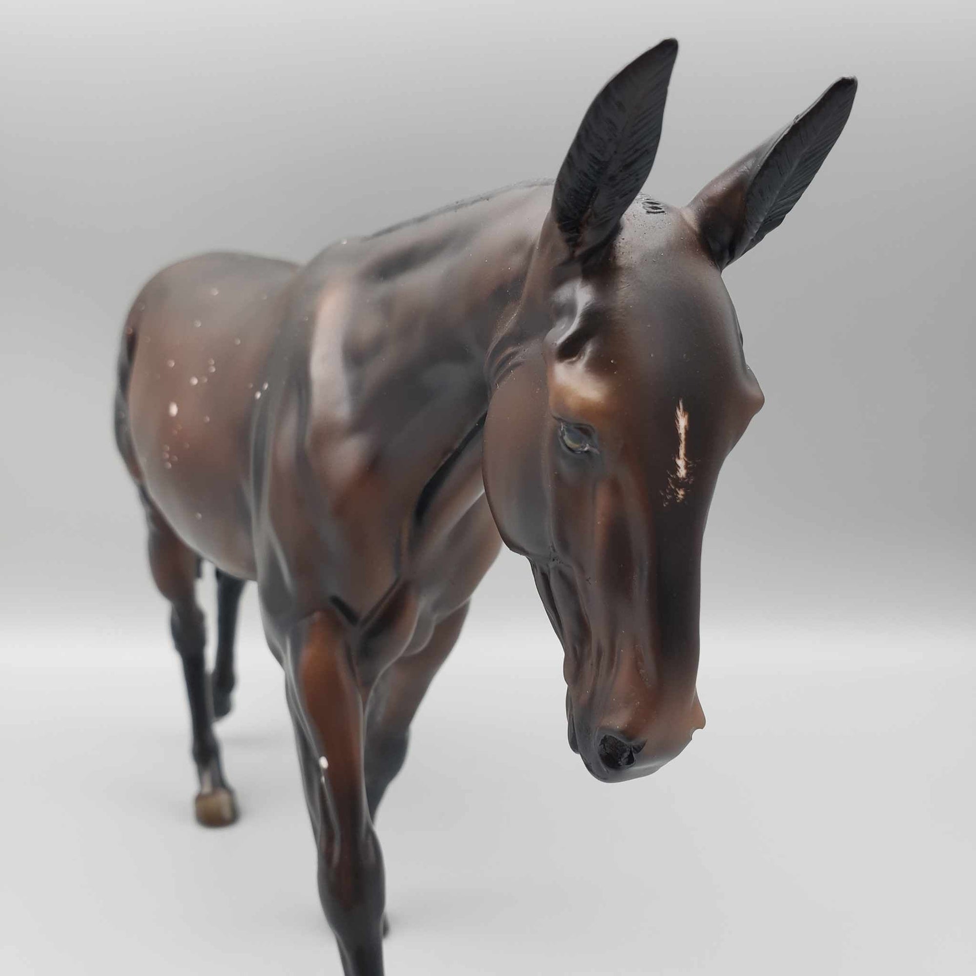 Tailsman OOAK Dark Bay W/Birdcatcher Spots And Etched Marking Mule By Ashley Palmer Moonlight Madness 2023 MM23