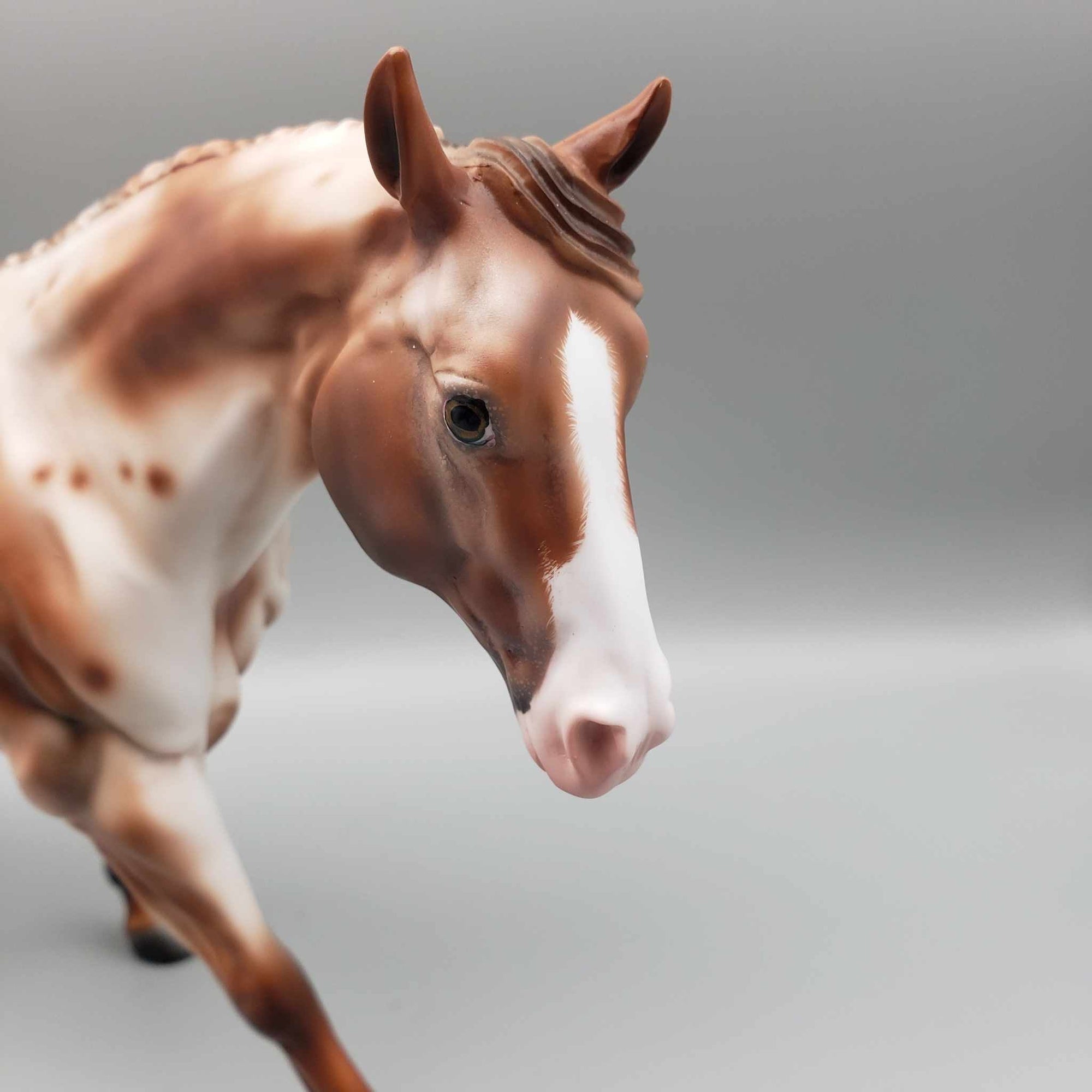 Penny Dreadful OOAK Chestnut Varnish Appaloosa W/Etching And Hoof Stripes Remington By Ashley Palmer Moonlight Madness 2023 MM23