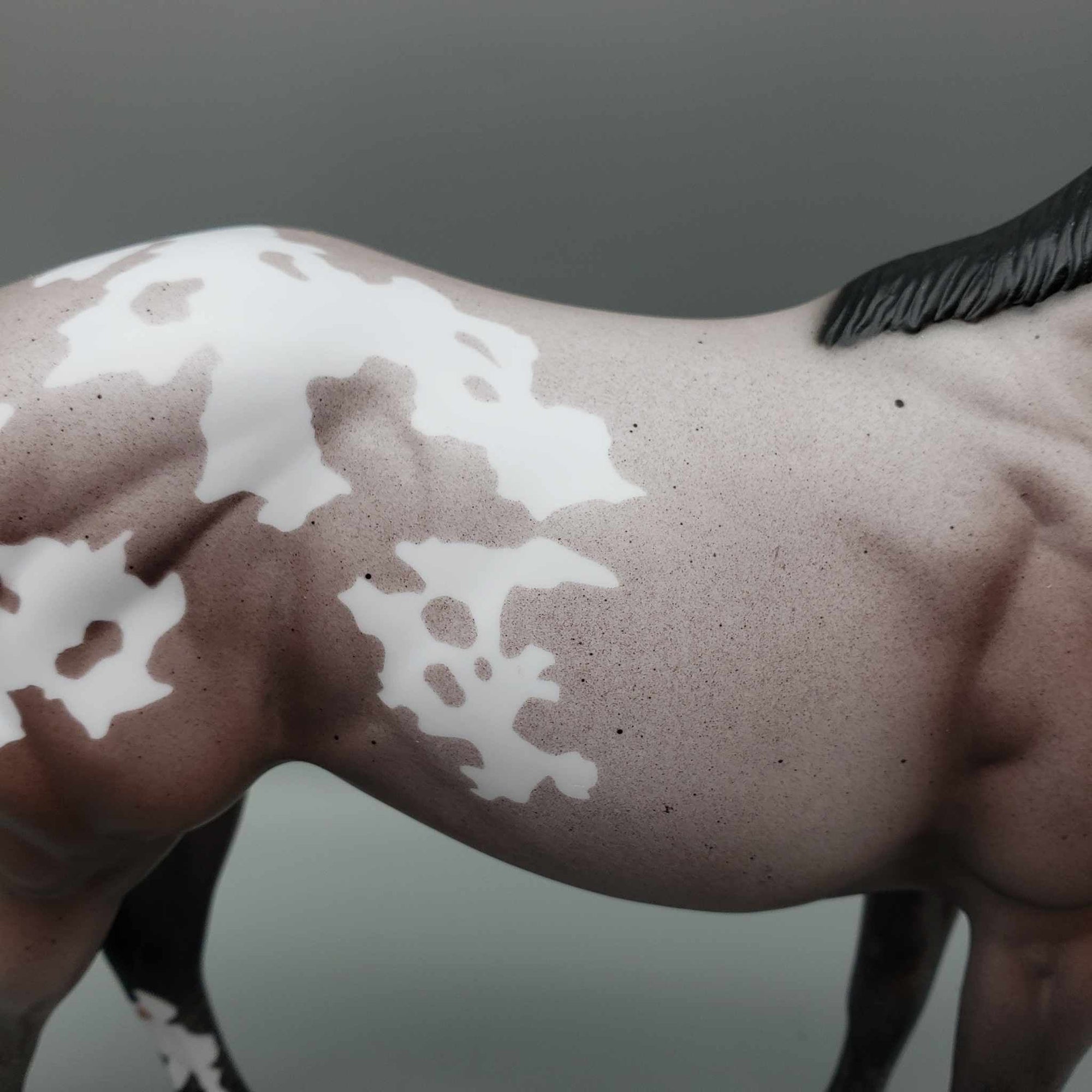 S&#39;mores by Starlight OOAK  Varnish Appoloosa Bay Roan  ISH By Ellen Robbins Moonlight Madness 2023 MM23