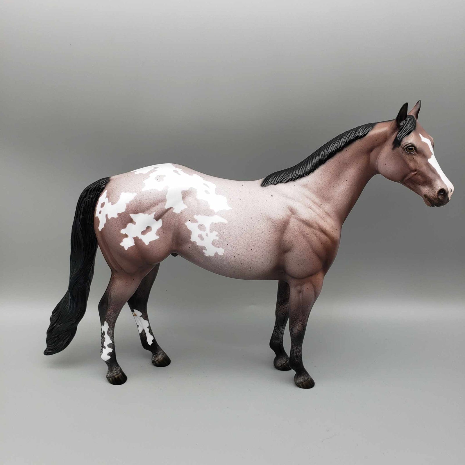 S'mores by Starlight OOAK  Varnish Appoloosa Bay Roan  ISH By Ellen Robbins Moonlight Madness 2023 MM23