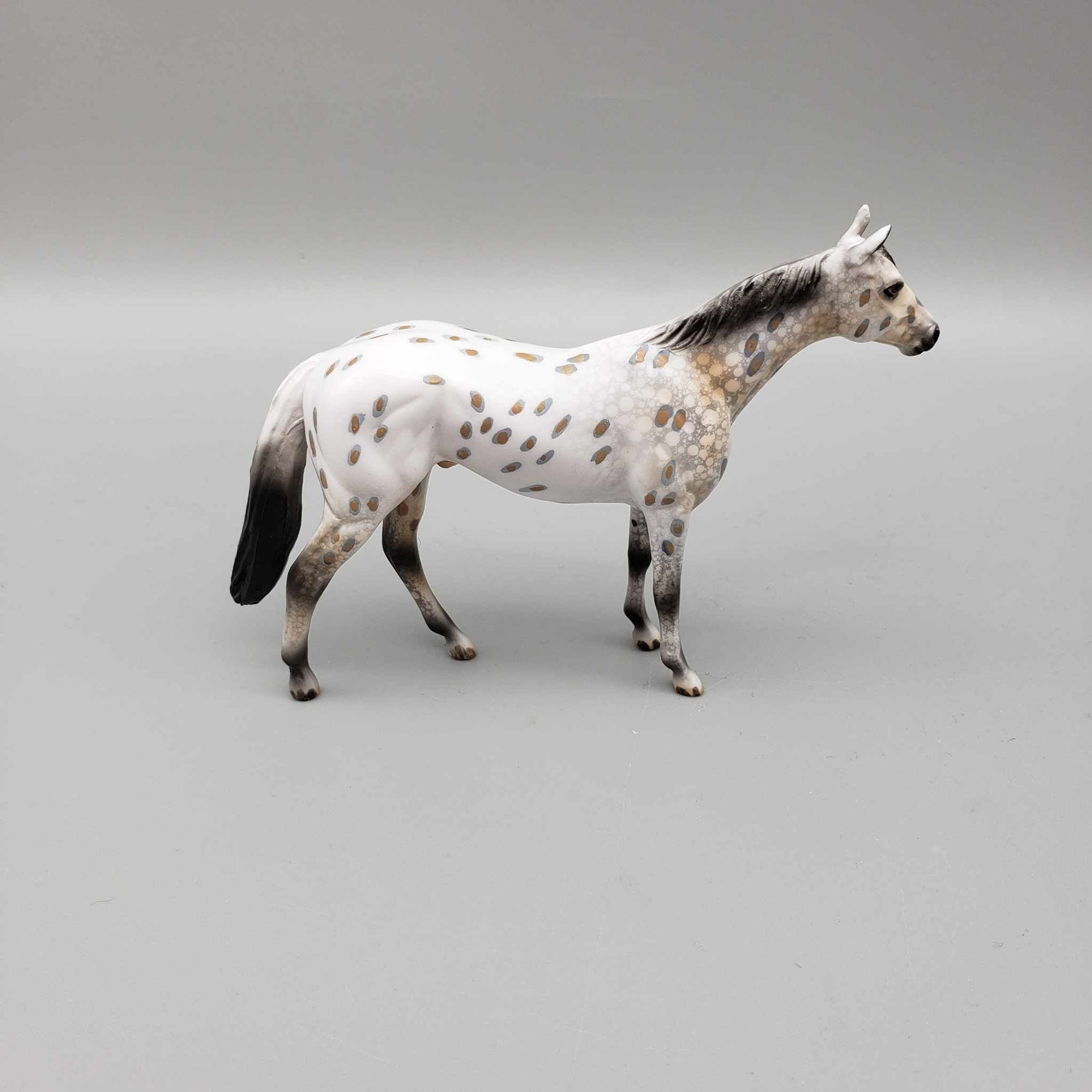 Kengi OOAK Buckskin Leopard Appaloosa Thoroughbred Chip By Dawn Quick Moonlight Madness 2023 MM23