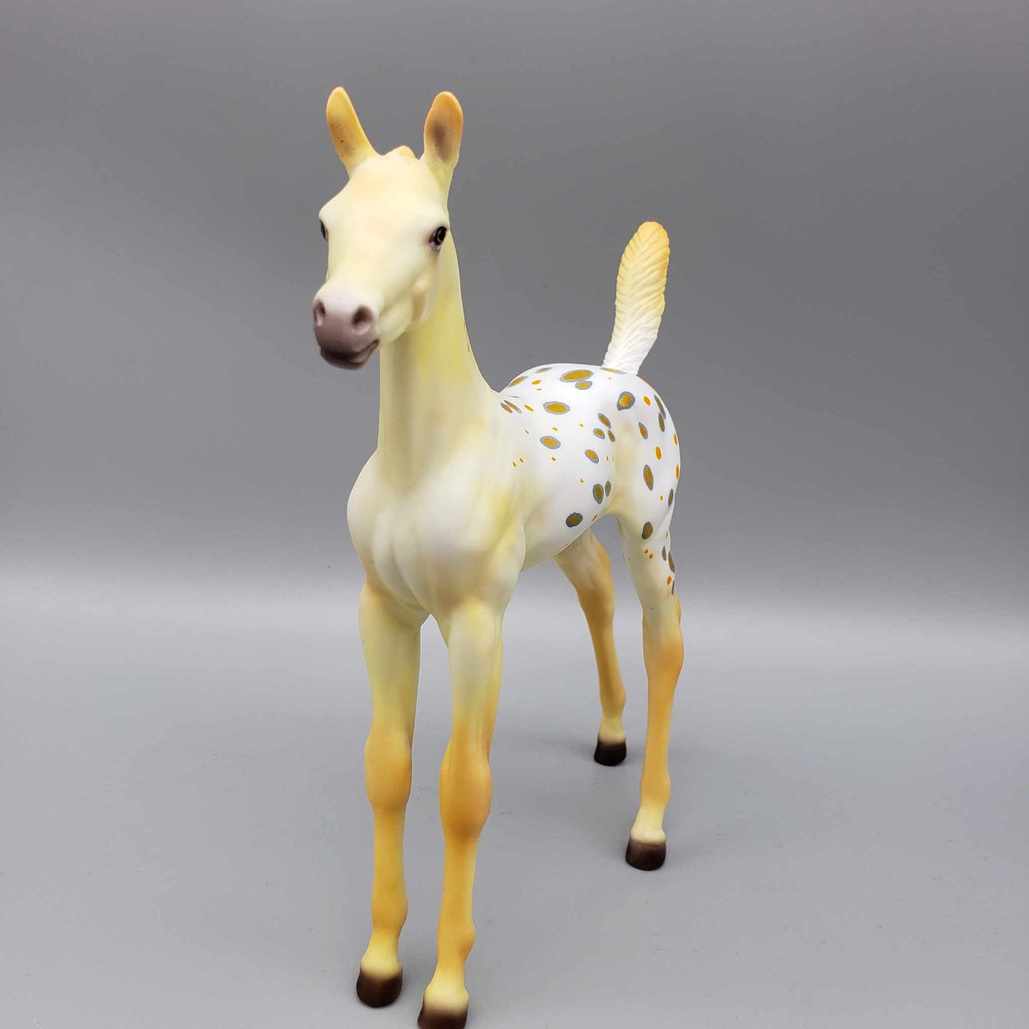 Pumpkin Seed OOAK Halloween Deco Yellow / Orange Blanket Appaloosa W/ Blacklight Arabian Foal Pebble By Ellen Robbins Moonlight Madness 2023 MM23