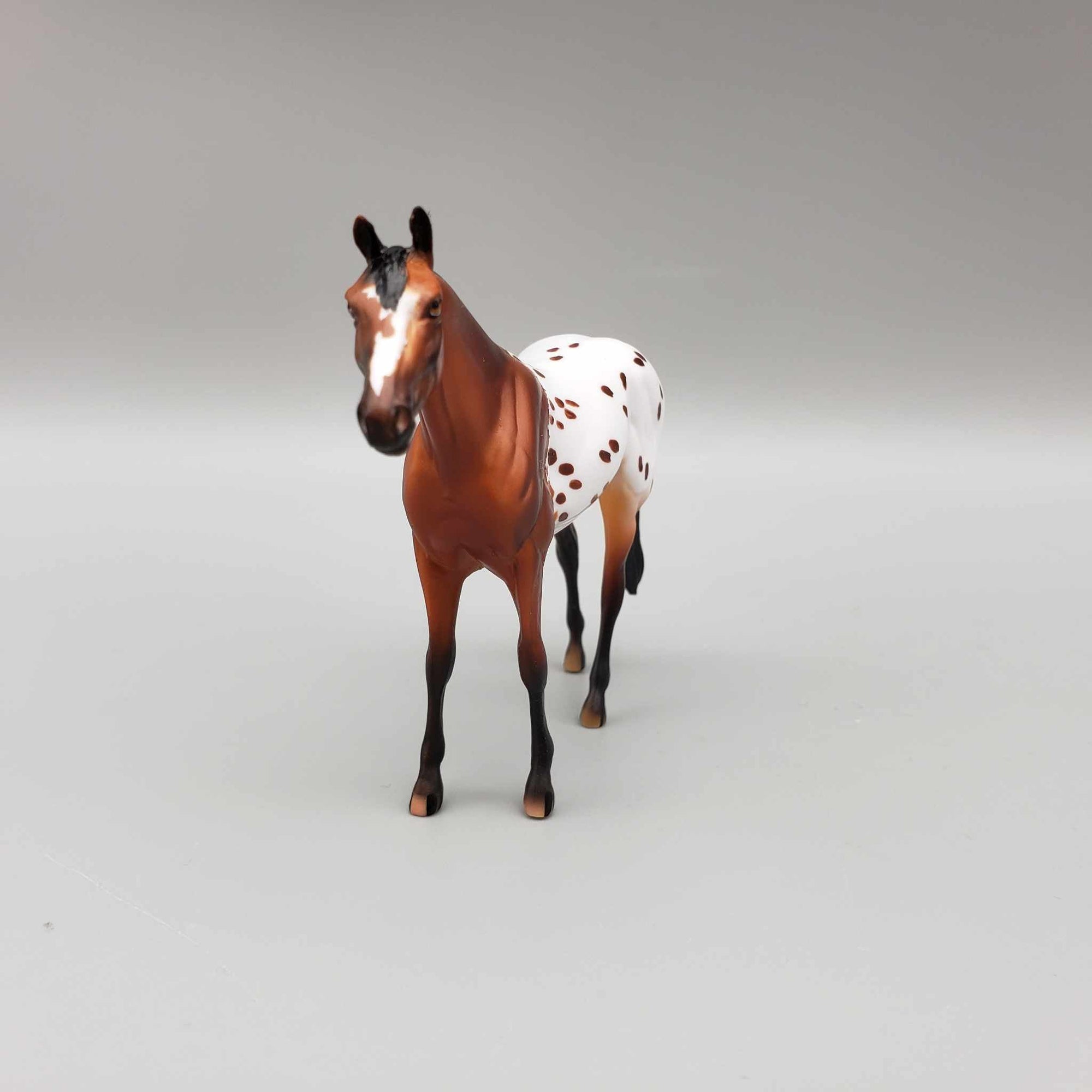 Reggie OOAK Bay Blanket Appaloosa Spots W/Blaze Thoroughbred Chip By Dawn Quick Moonlight Madness 2023 MM23