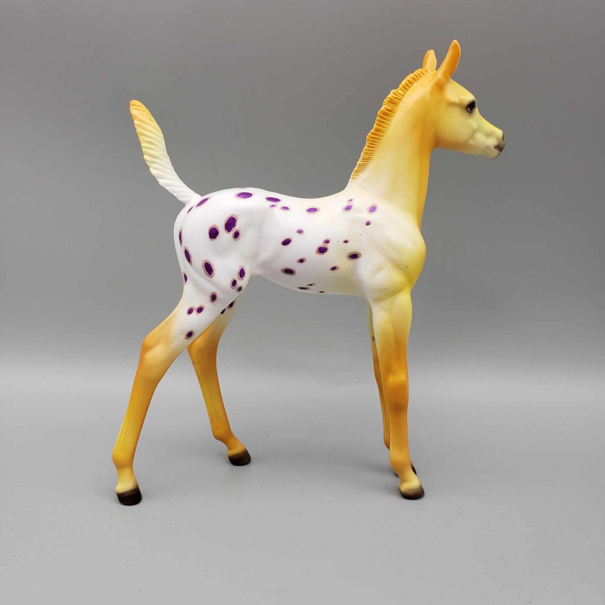 Witches Brew OOAK Halloween Deco Orange / Purple Blanket Appaloosa Arabian Foal Pebble By Ellen Robbins Moonlight Madness 2023 MM23