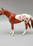 Riggs OOAK Chestnut Blanket Appaloosa W/Spots and Snip Thoroughbred Chip By Dawn Quick Moonlight Madness 2023 MM23