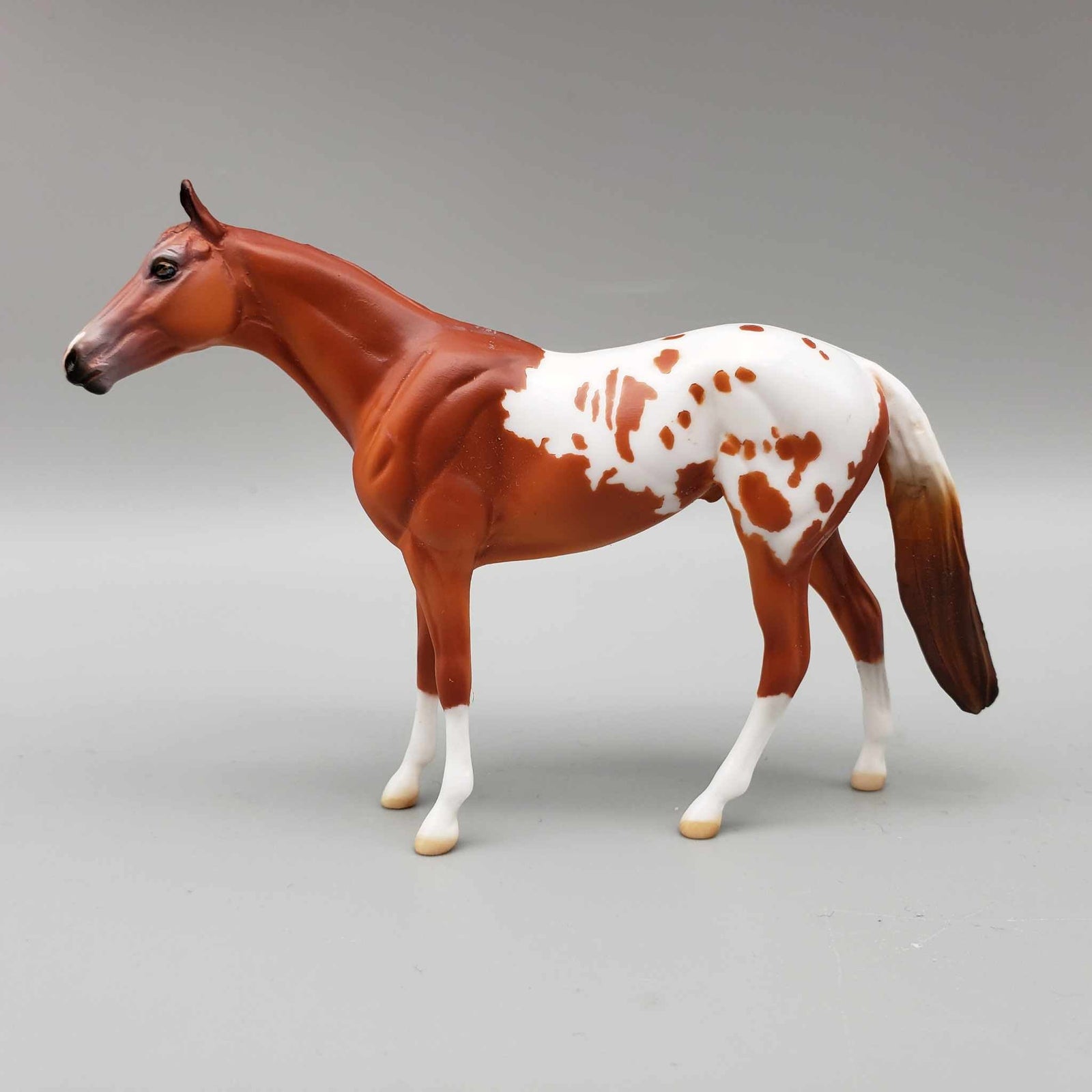 Riggs OOAK Chestnut Blanket Appaloosa W/Spots and Snip Thoroughbred Chip By Dawn Quick Moonlight Madness 2023 MM23