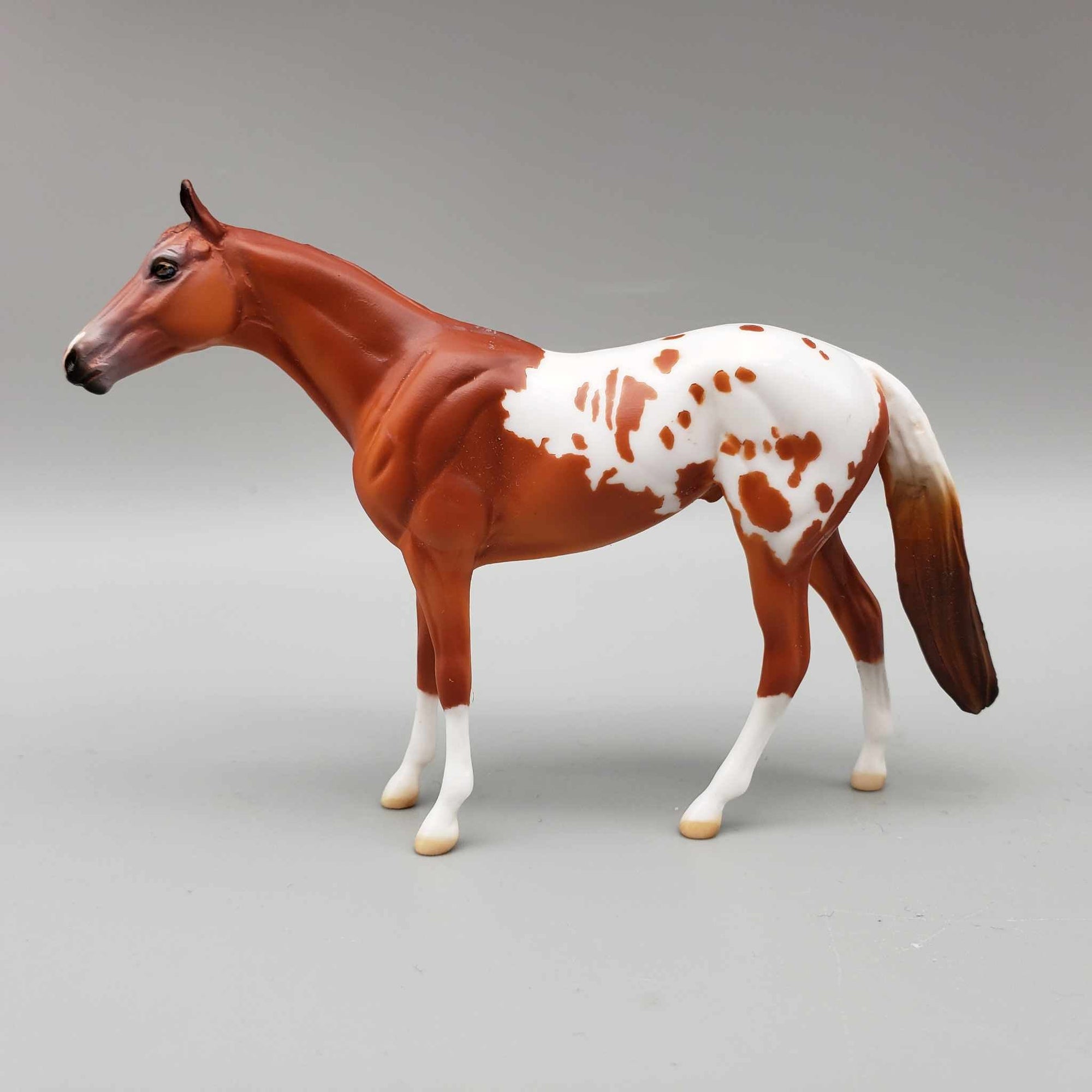 Riggs OOAK Chestnut Blanket Appaloosa W/Spots and Snip Thoroughbred Chip By Dawn Quick Moonlight Madness 2023 MM23