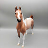 Autumn Magick OOAK Red Roan Tobiano Color shift halo Arabian By Ellen Robbins Moonlight Madness 2023 MM23