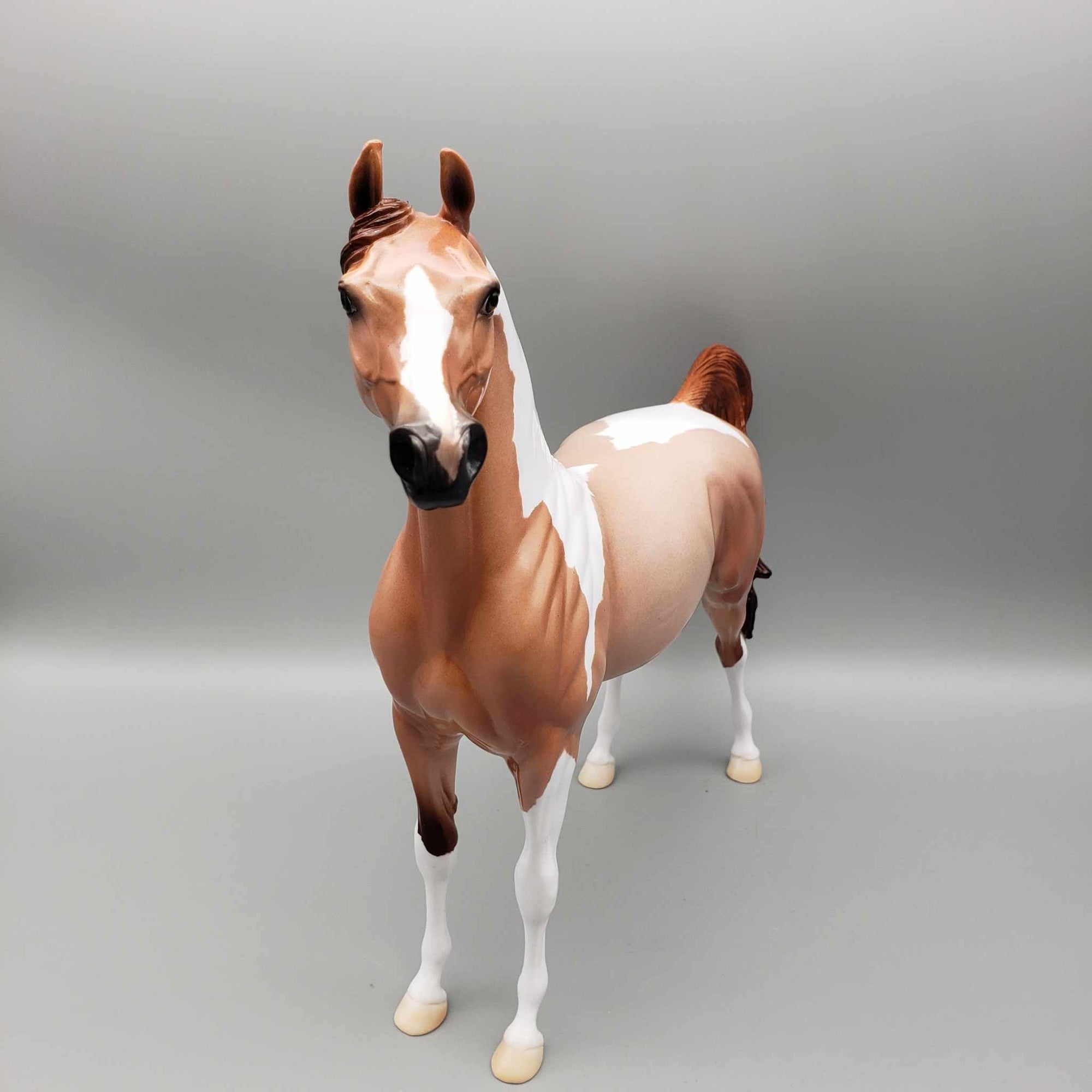 Autumn Magick OOAK Red Roan Tobiano Color shift halo Arabian By Ellen Robbins Moonlight Madness 2023 MM23