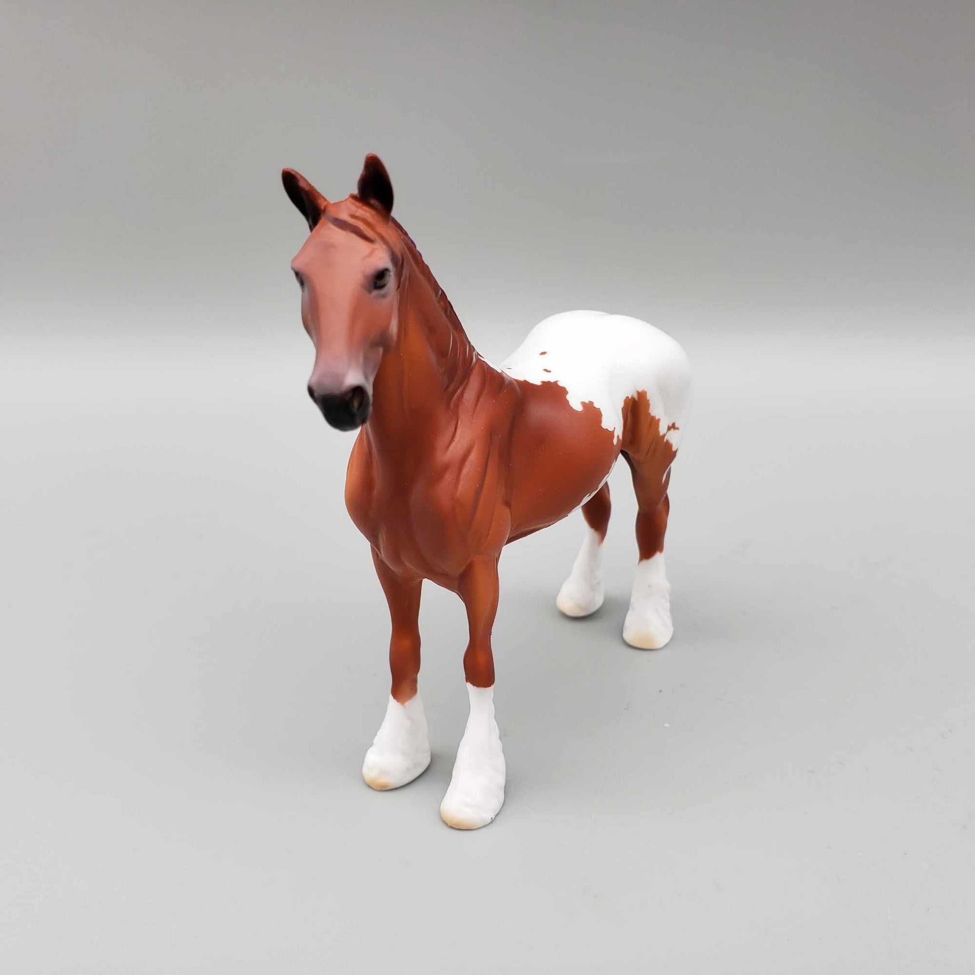 Waylen OOAK Chestnut Blanket Appaloosa W/Purple Ribbon Draft Chip By Dawn Quick Moonlight Madness 2023 MM23