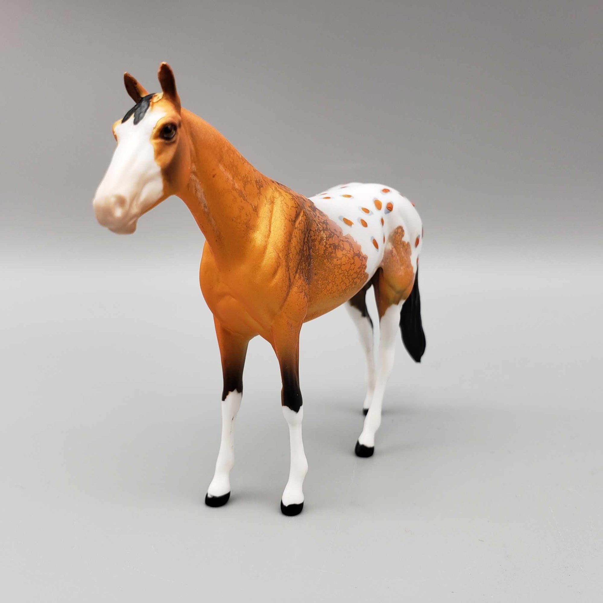 Osvaldo OOAK Orange Buckskin W/Large Blaze Blanket Appaloosa W/Spots and Snip Thoroughbred Chip By Dawn Quick Moonlight Madness 2023 MM23