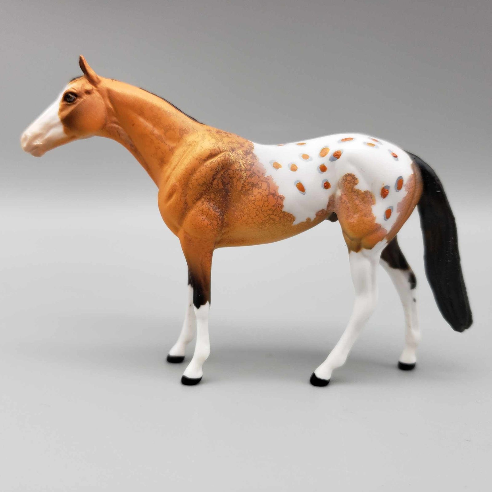 Osvaldo OOAK Orange Buckskin W/Large Blaze Blanket Appaloosa W/Spots and Snip Thoroughbred Chip By Dawn Quick Moonlight Madness 2023 MM23