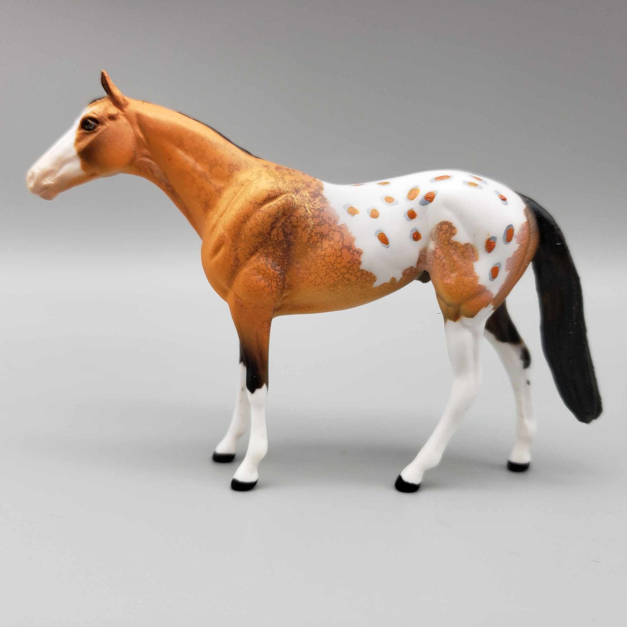 Osvaldo OOAK Orange Buckskin W/Large Blaze Blanket Appaloosa W/Spots and Snip Thoroughbred Chip By Dawn Quick Moonlight Madness 2023 MM23