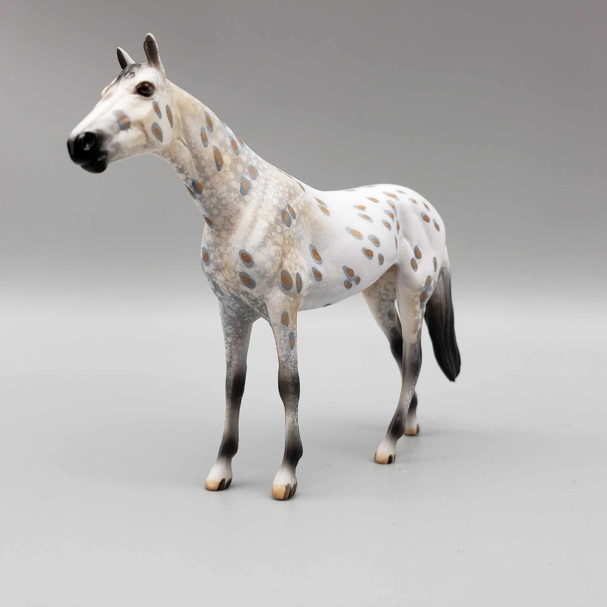 Kengi OOAK Buckskin Leopard Appaloosa Thoroughbred Chip By Dawn Quick Moonlight Madness 2023 MM23