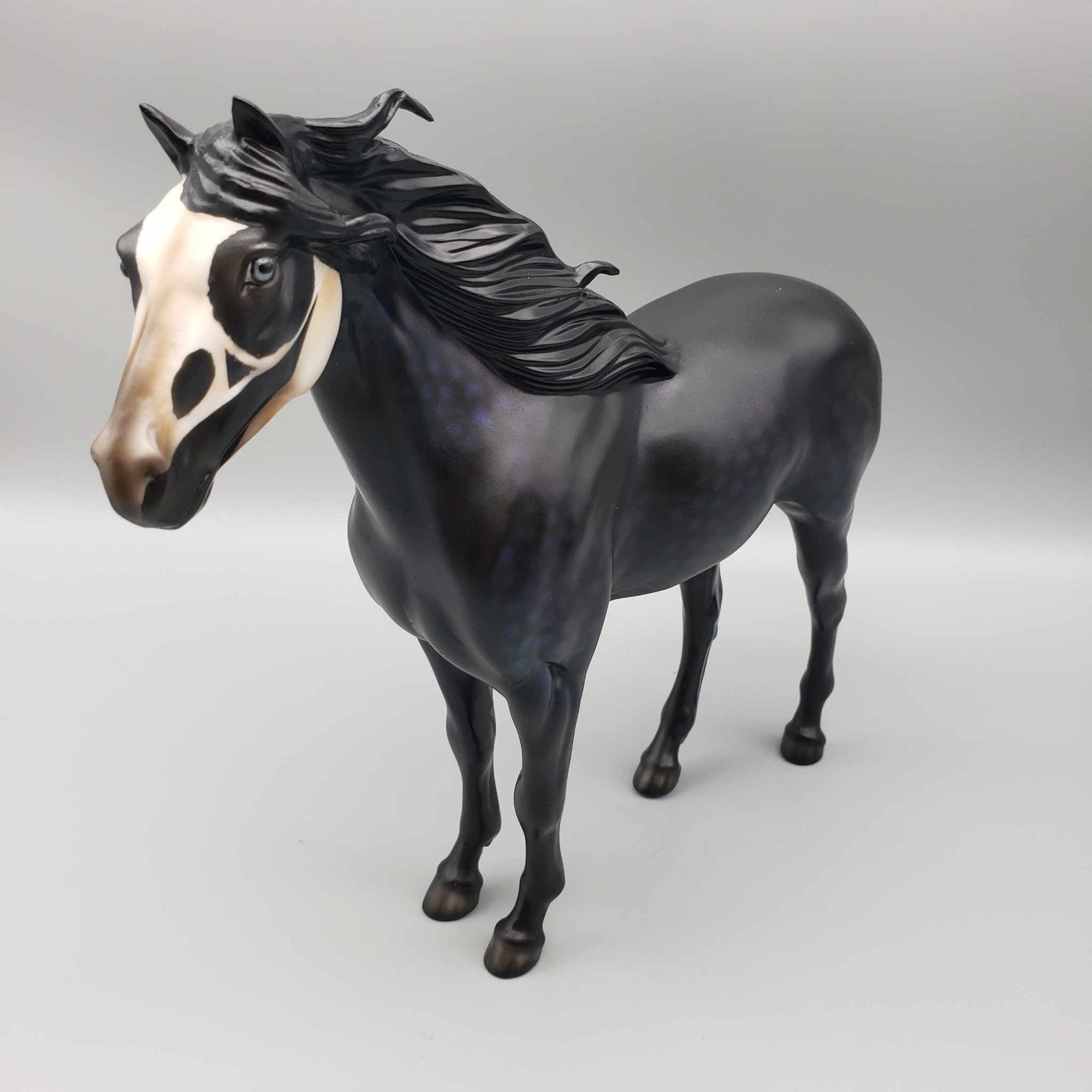 Guilt By Association OOAK Halloween Deco Dappled Raven Black w/Common Raven Skull By Ellen Robins Moonlight Madness 2023 MM23