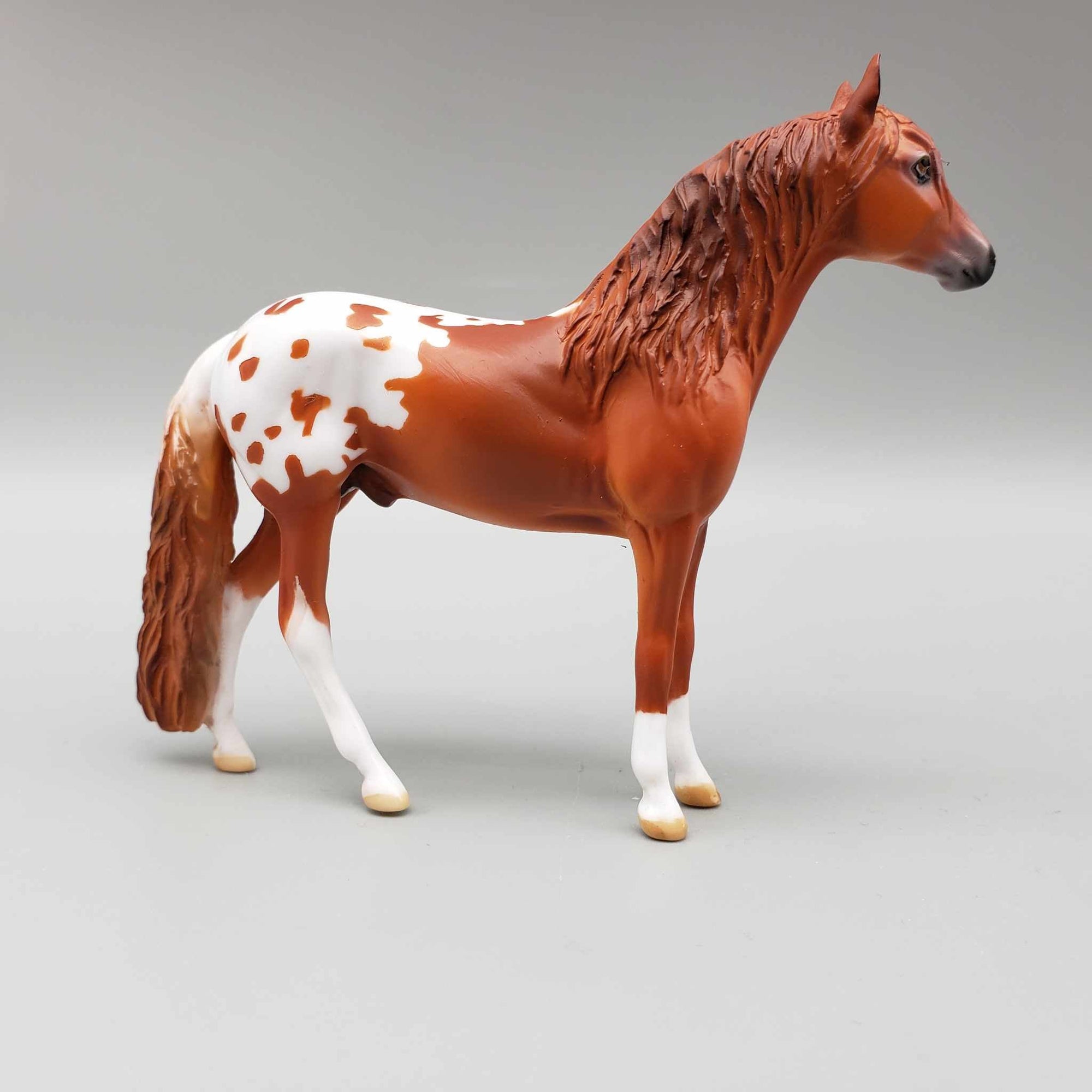 Finlay OOAK Chestnut Blanket Appaloosa W/Spots Andalusian Chip By Dawn Quick Moonlight Madness 2023 MM23