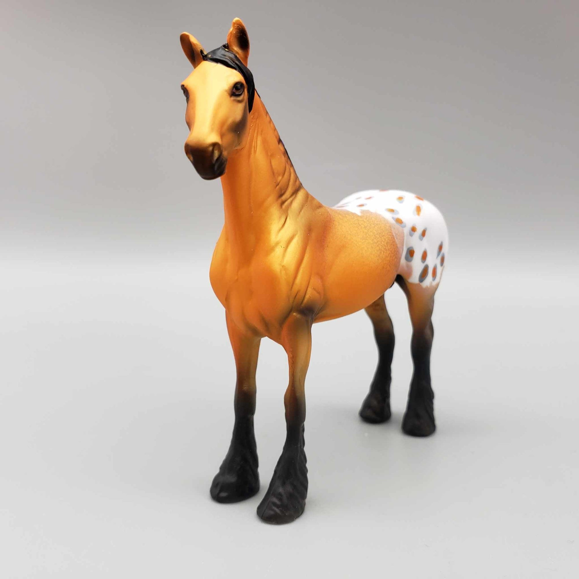Mateo OOAK Orange Buckskin Blanket Appaloosa With Spots W/Purple Ribbon Draft Chip By Dawn Quick Moonlight Madness 2023 MM23