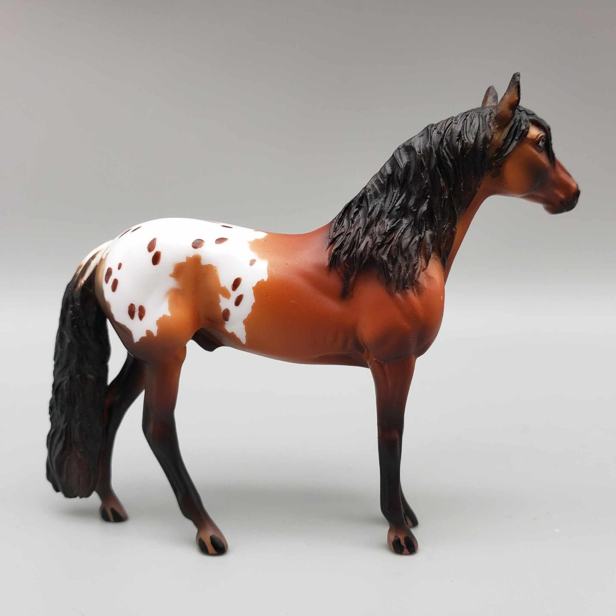 Braylon OOAK Bay Blanket Appaloosa W/Spots Andalusian Chip By Dawn Quick Moonlight Madness 2023 MM23