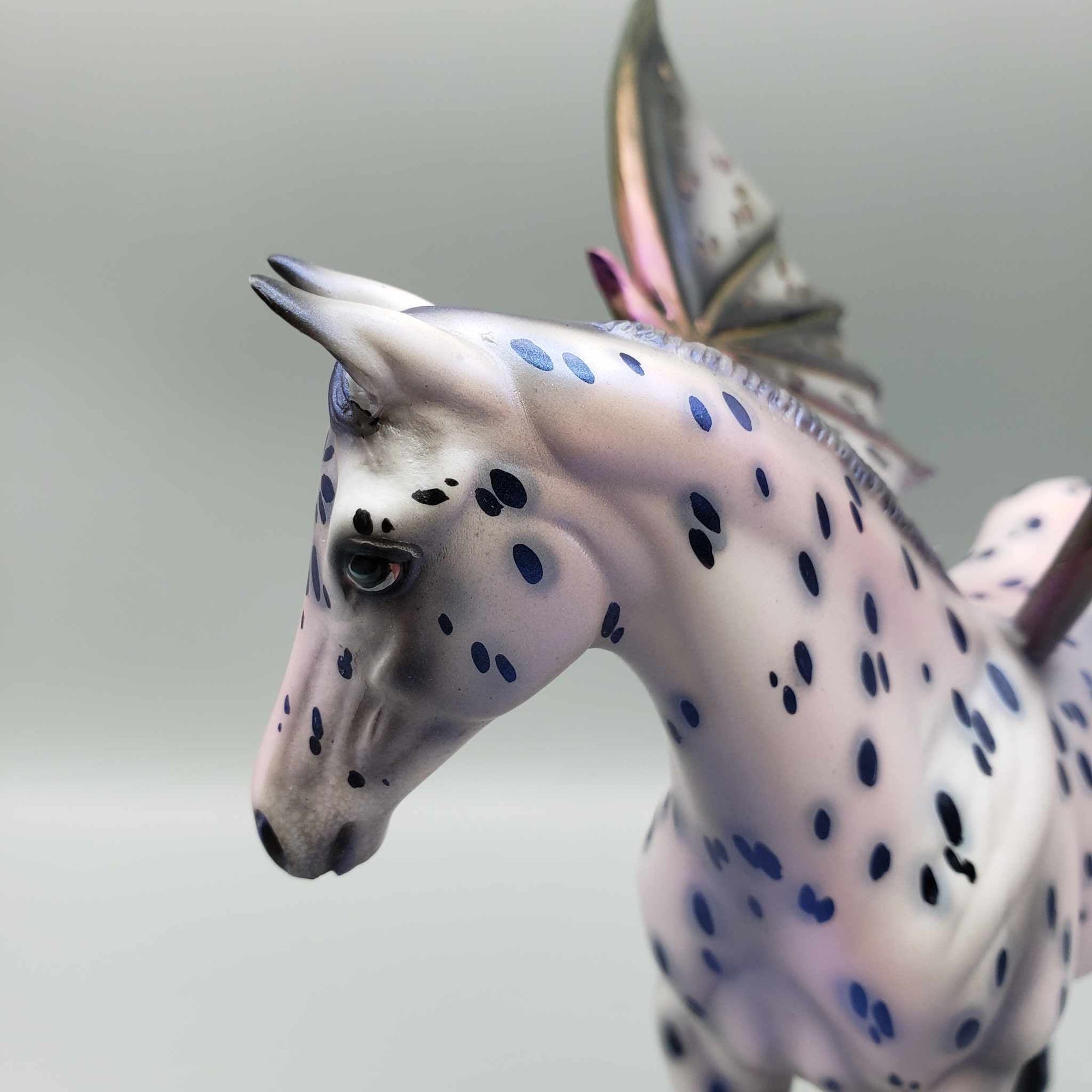 Crazy A-Bat You OOAK Purple Appaloosa Bat Wing Weanling By Julie Keim BEST OFFER Moonlight Madness 2023 MM23