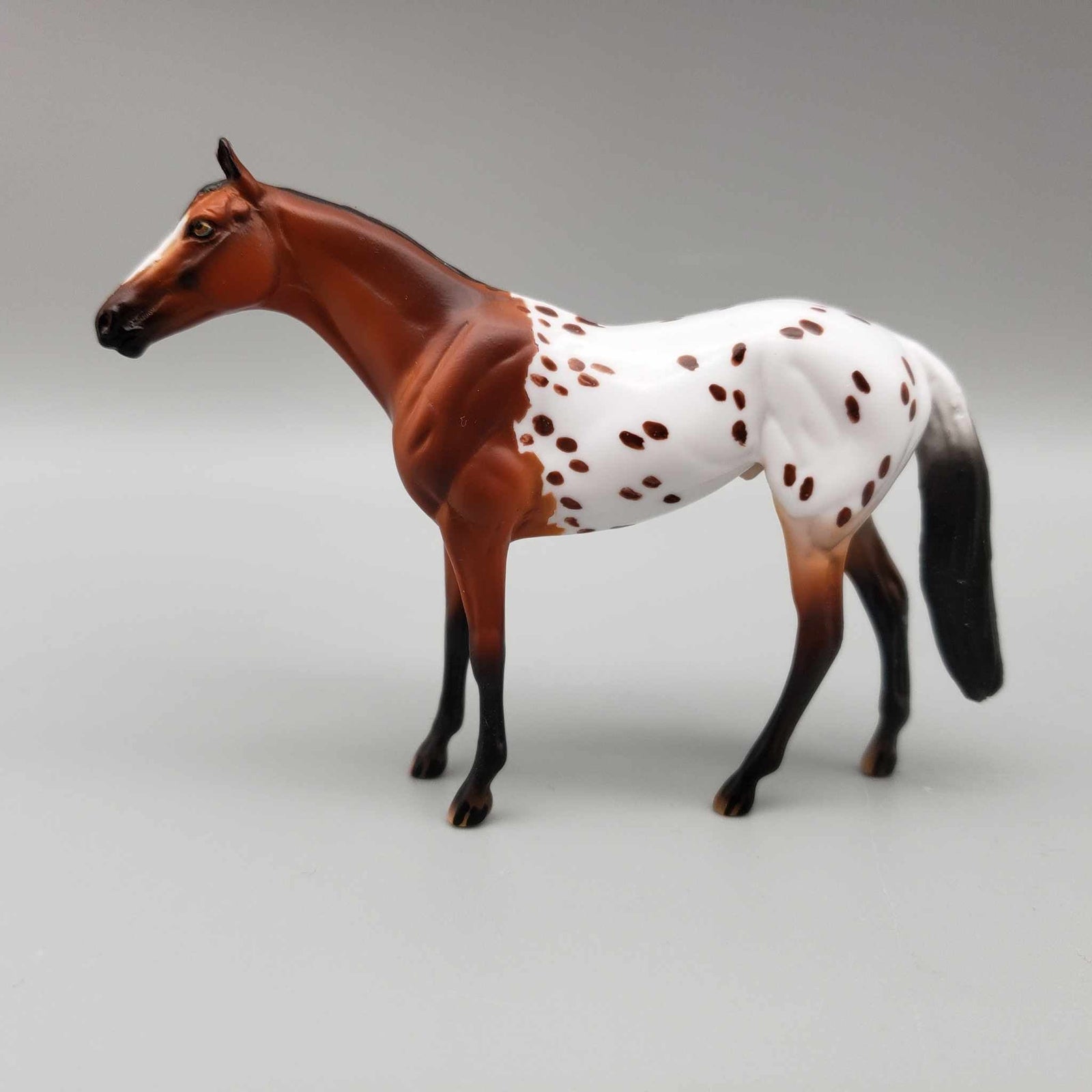 Reggie OOAK Bay Blanket Appaloosa Spots W/Blaze Thoroughbred Chip By Dawn Quick Moonlight Madness 2023 MM23