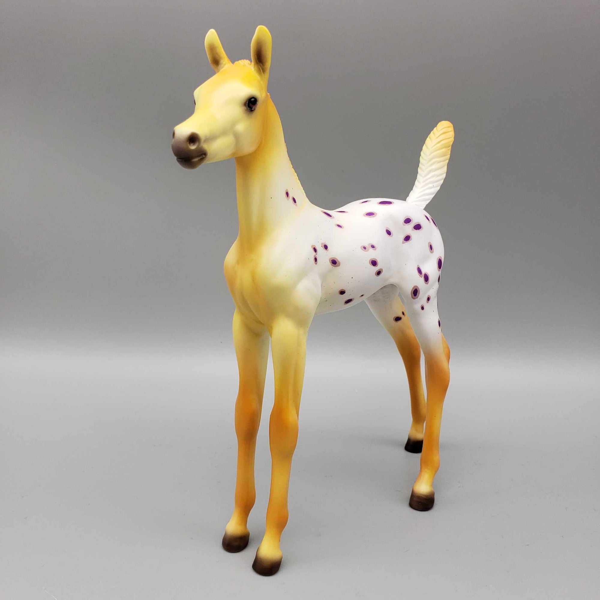 Witches Brew OOAK Halloween Deco Orange / Purple Blanket Appaloosa Arabian Foal Pebble By Ellen Robbins Moonlight Madness 2023 MM23