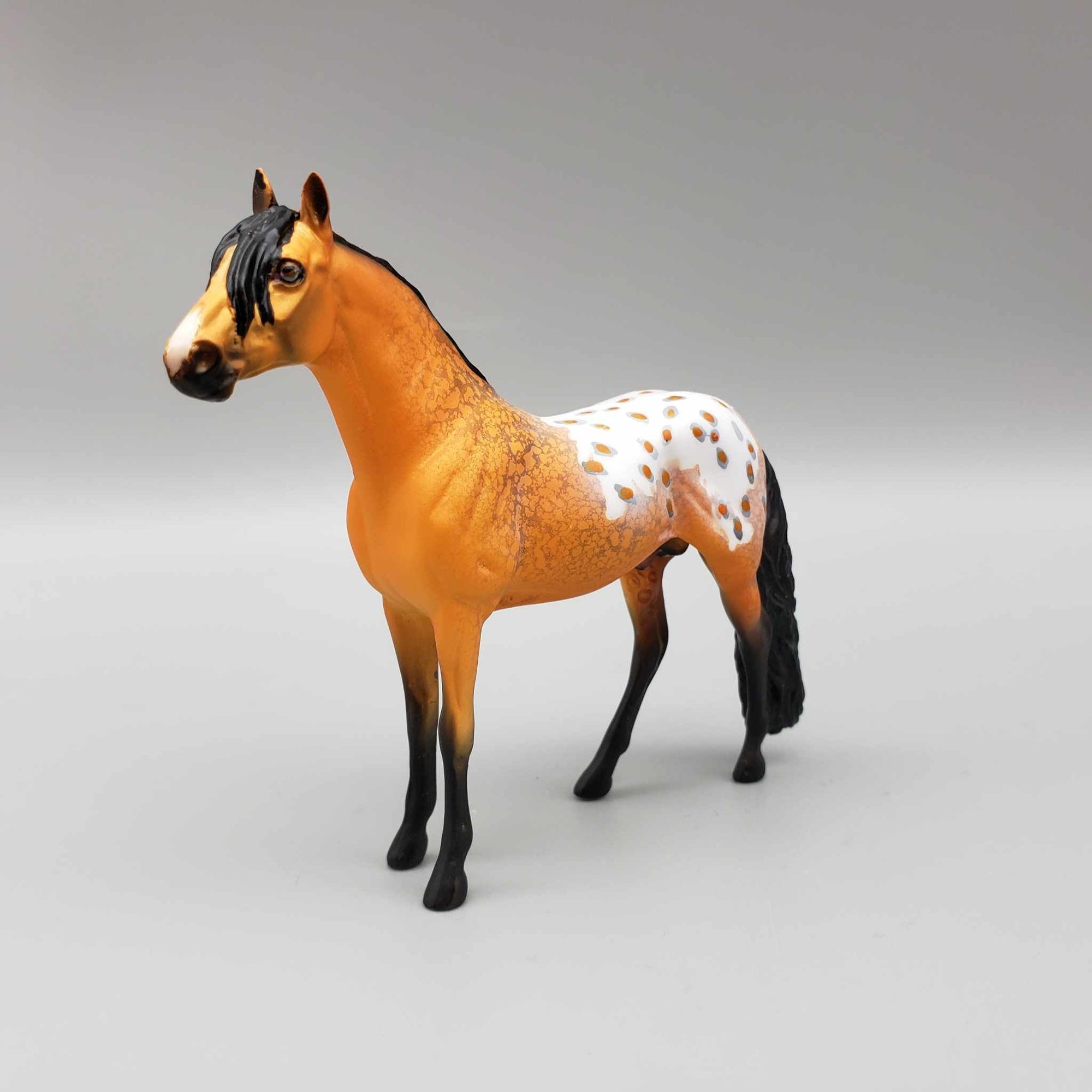 Dario OOAK Orange Buckskin Blanket Appaloosa W/Spots And Snip Andalusian Chip By Dawn Quick Moonlight Madness 2023 MM23