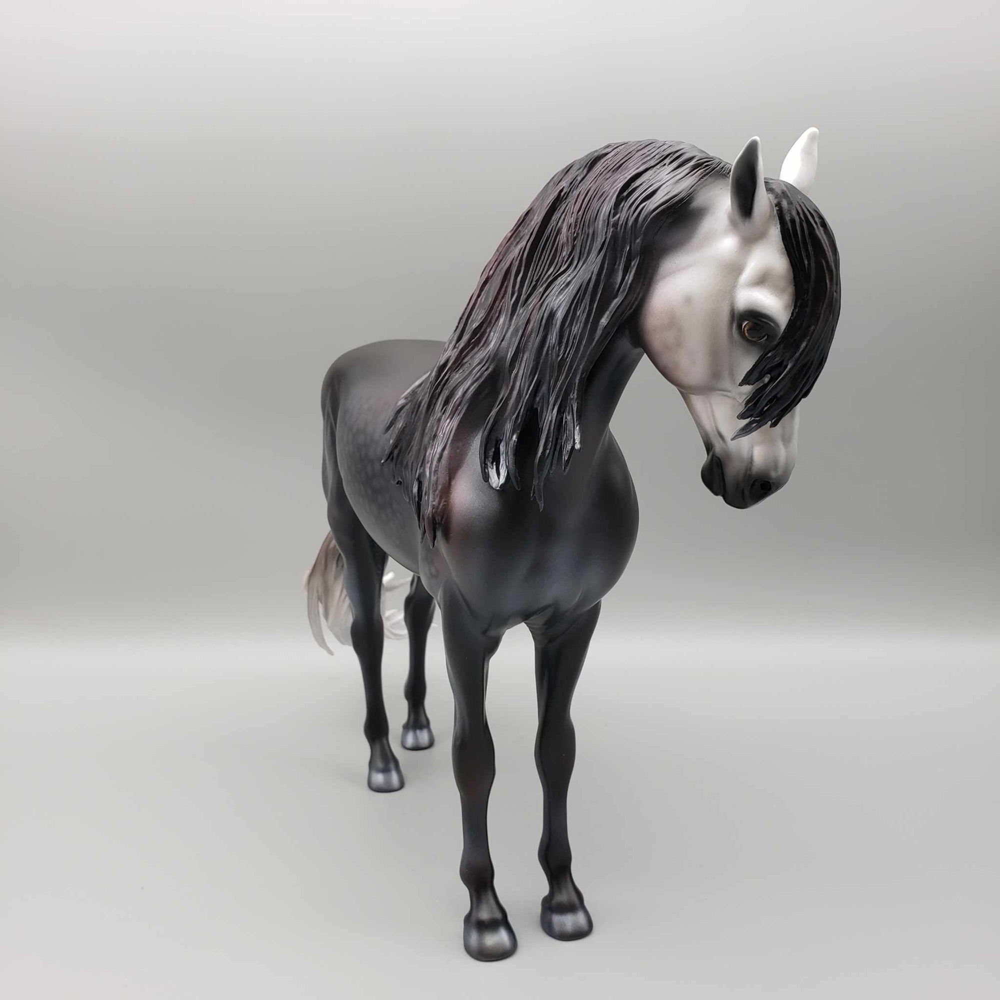 Luna del Cazardor OOAK Dappled Black Going Grey Andalusian By Carrie Keller BEST OFFER Moonlight Madness 2023 MM23