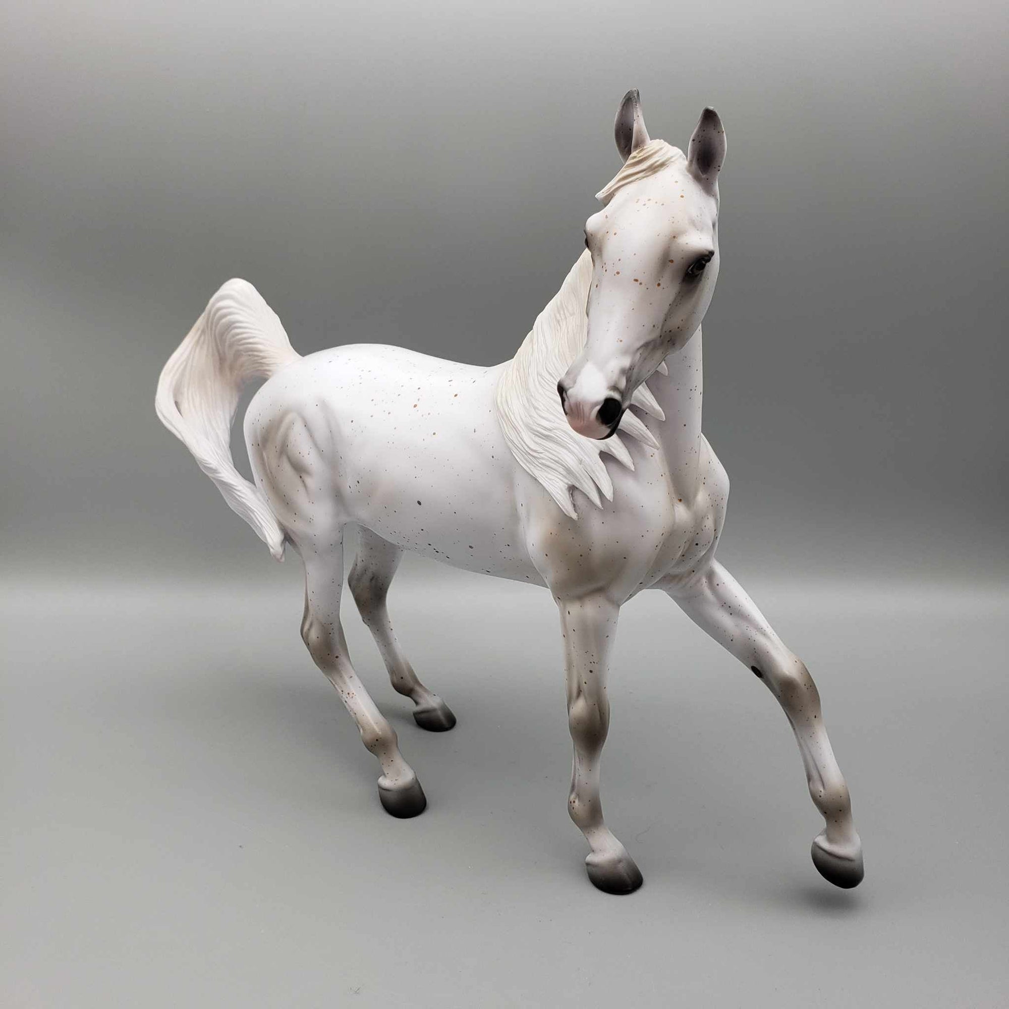 Moon Glow OOAK Flea Bit Gray Arab MareBy Ashley Palmer Moonlight Madness 2023 MM23