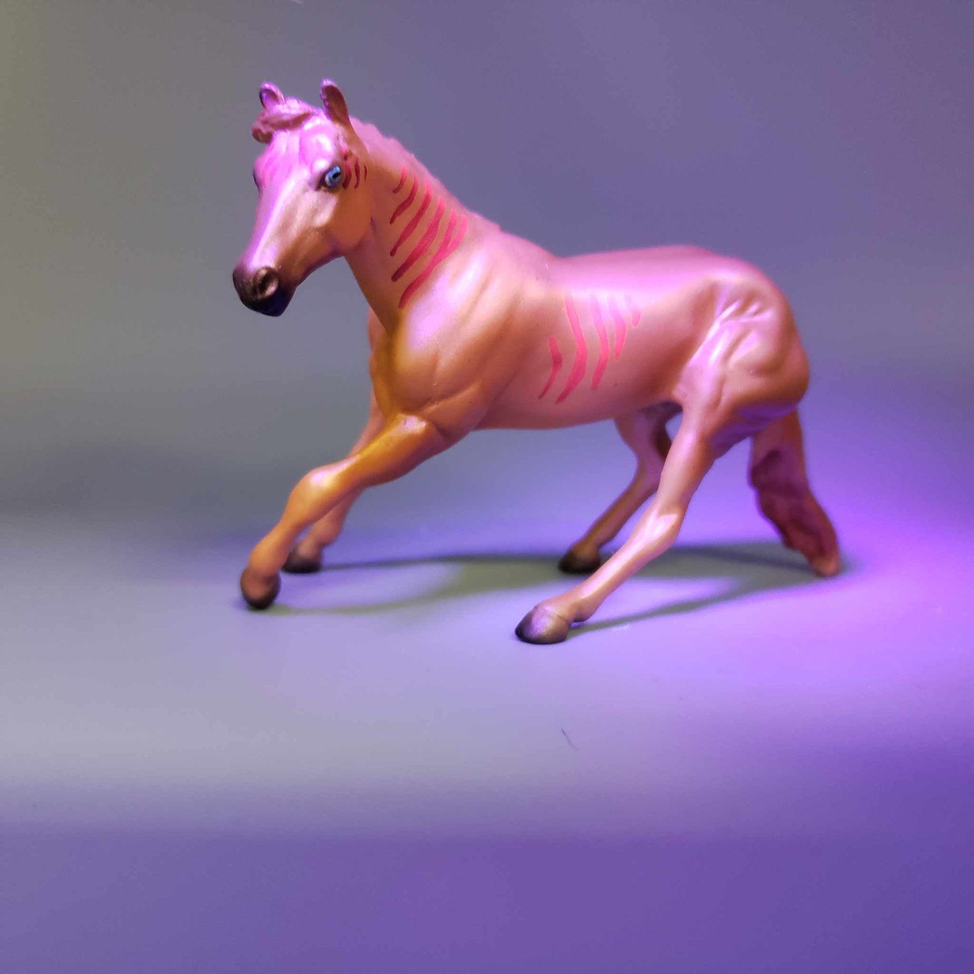 Kutta &amp; Calf OOAK Orange Alien Blacklight Reactive Cutter &amp; Holstein Calf Chip - Alien Series By Jess Hamill Moonlight Madness 2023 MM23