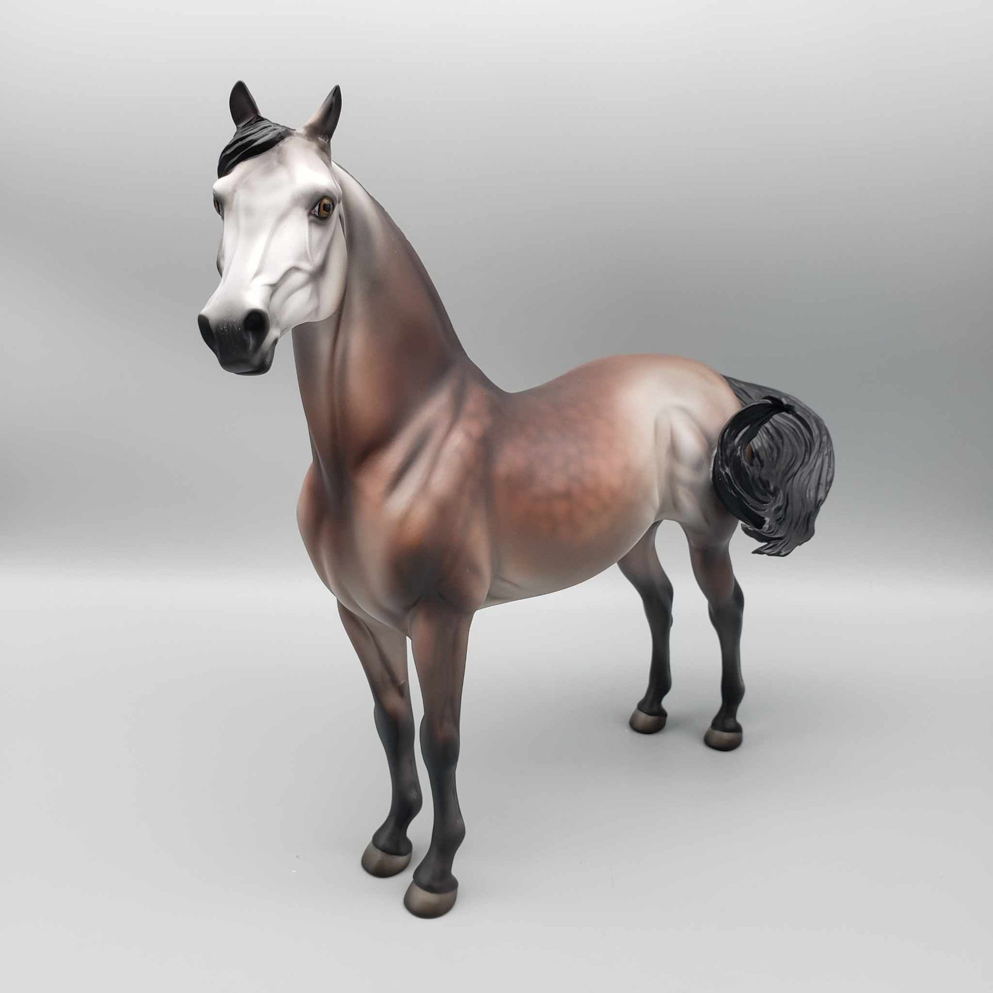 Jolly LE 15 Run Bay Going Grey Morgan By Jess Hamill Holiday Sale HS23